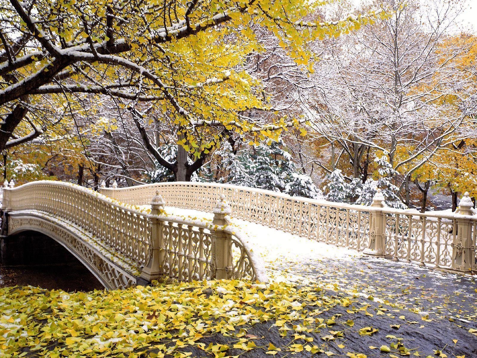 image For > Central Park Winter Wallpaper