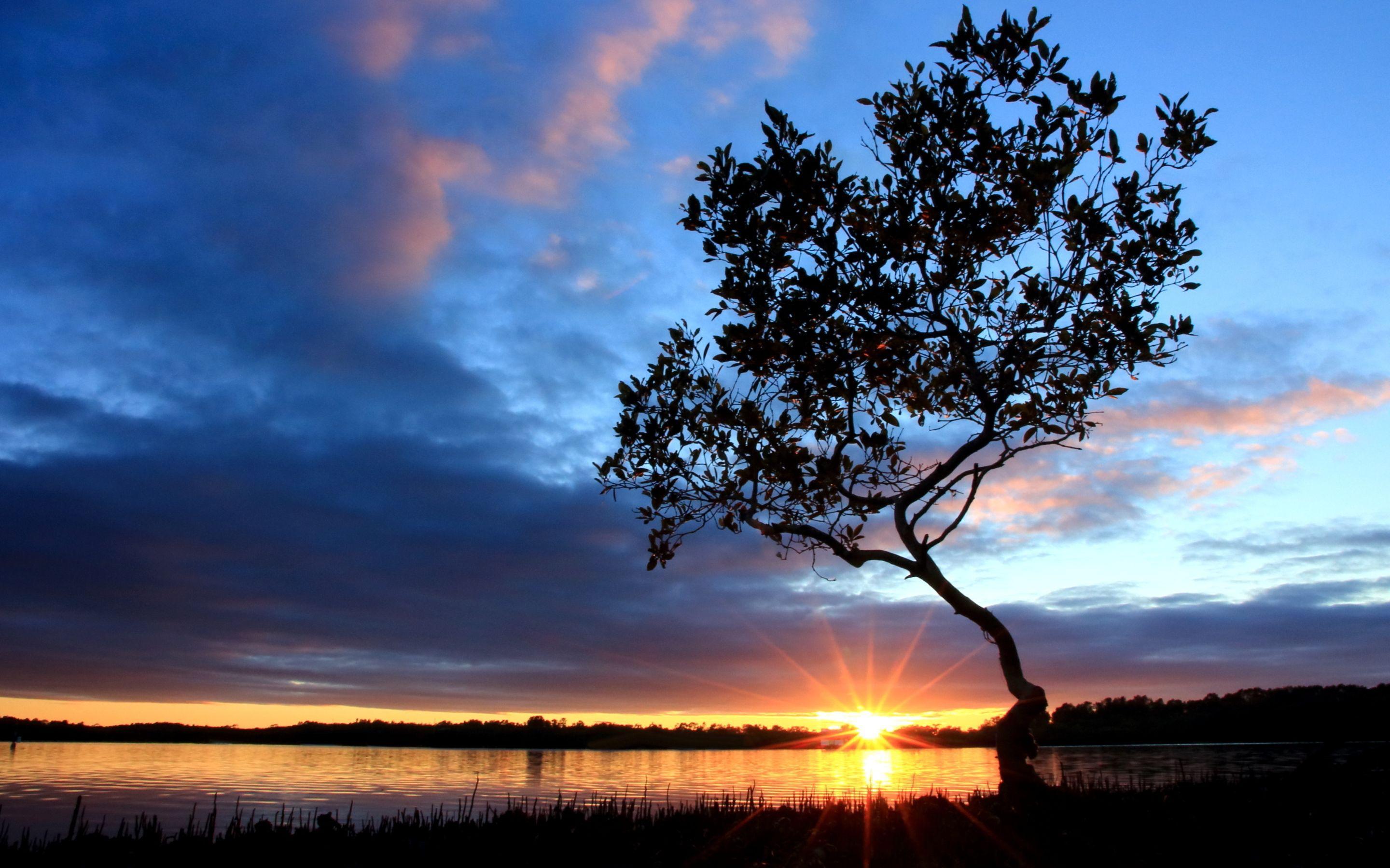 Sunset pelican island australia Wallpaper