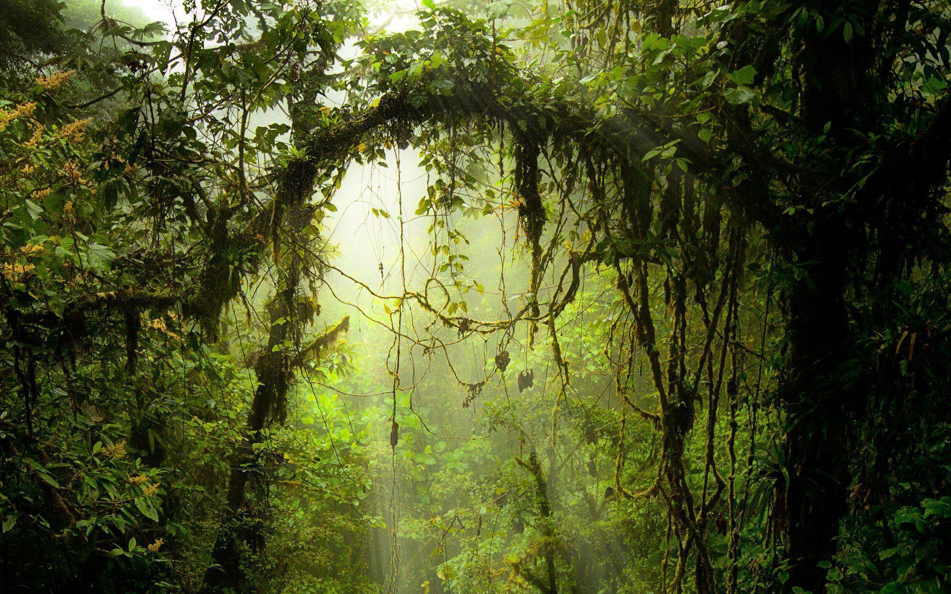 HD Costa Rica Wallpaper and Photo. HD Nature Wallpaper