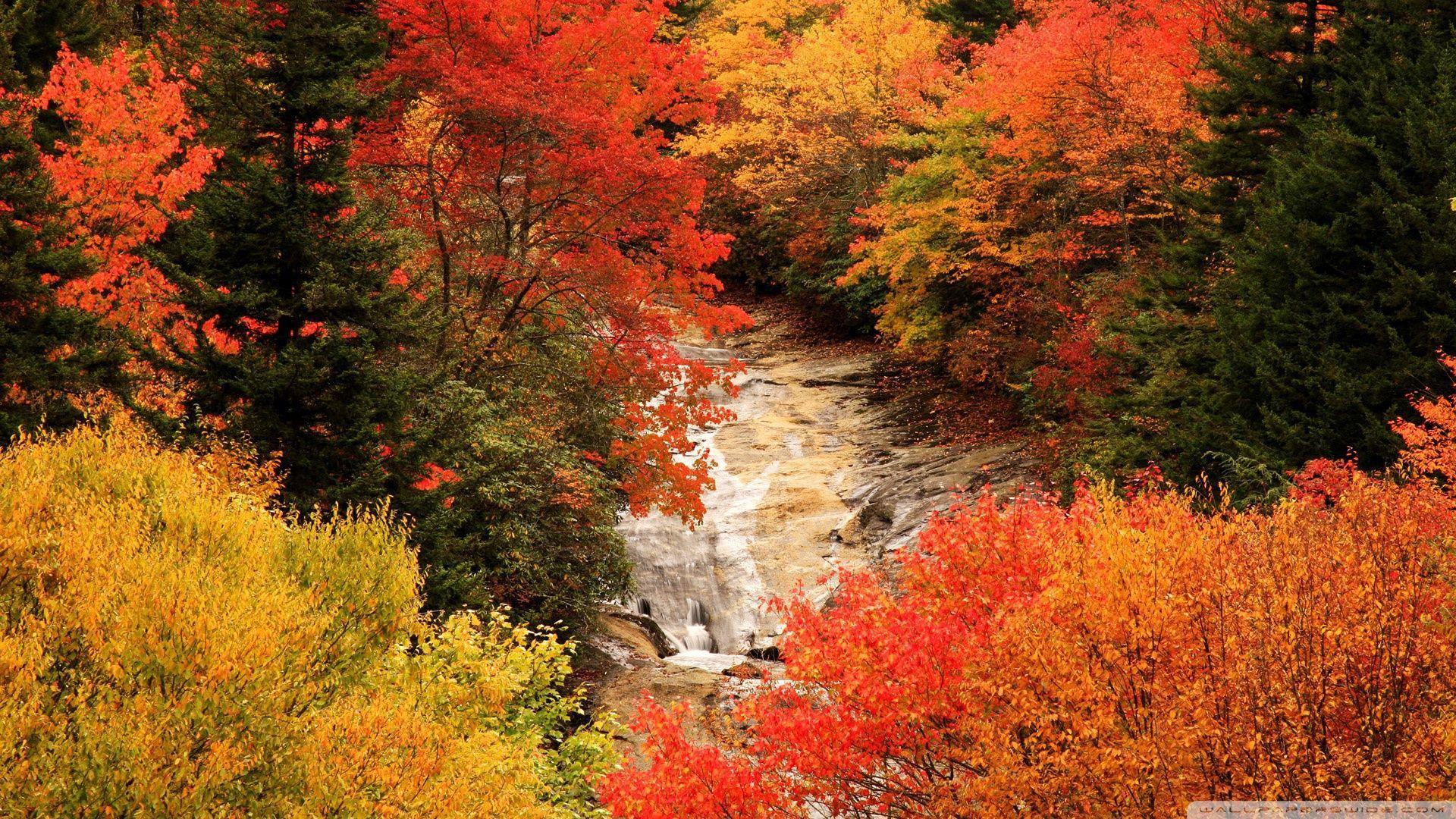 Blue Ridge Parkway, North Carolina, Autumn HD desktop wallpaper