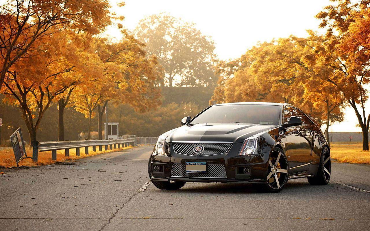 Cadillac CTS V Modern Muscle Car Wallpaper Collection Picture