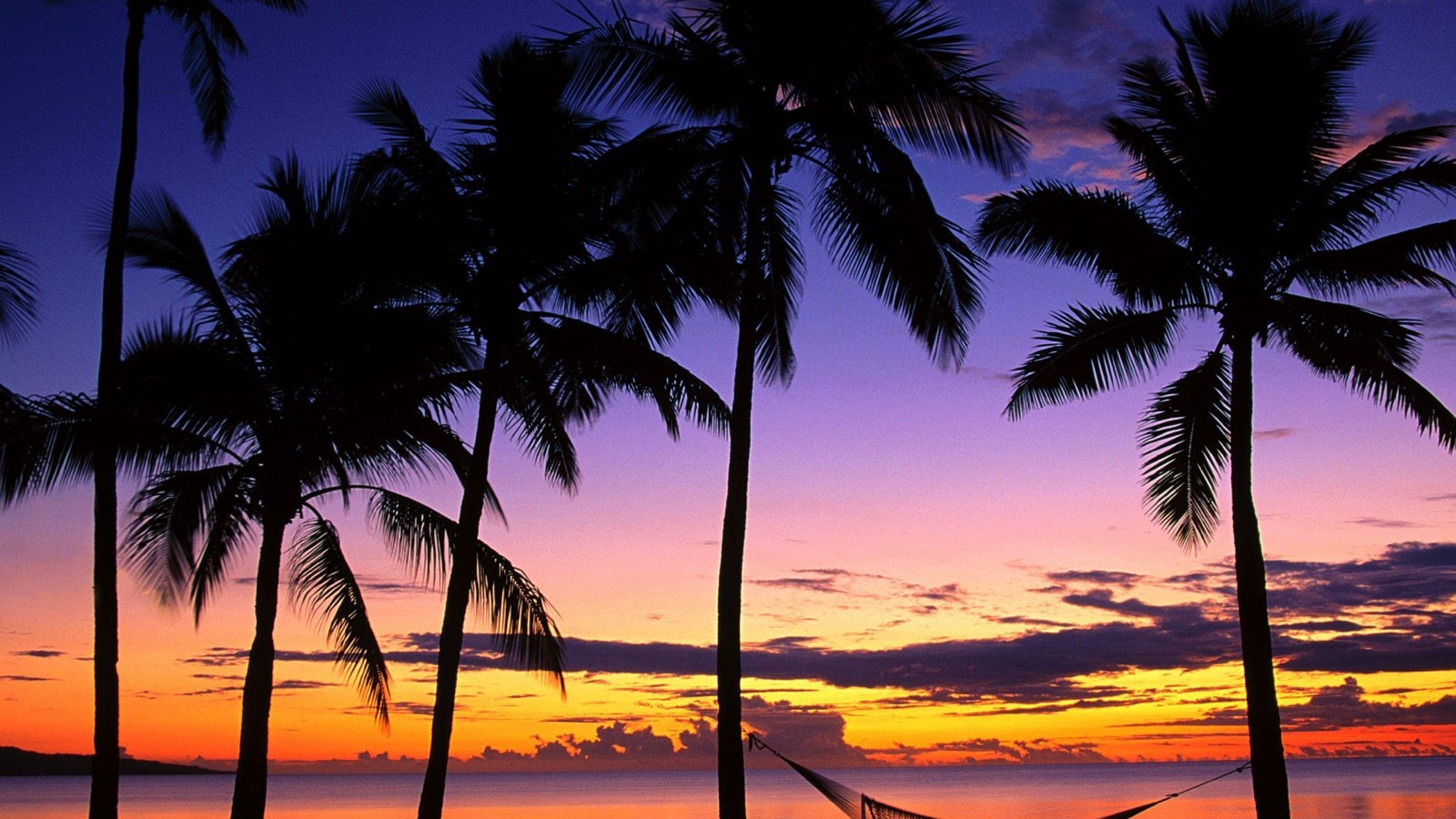 Download Wallpaper 3840x2160 Fiji, Palm trees, Hammock, Evening