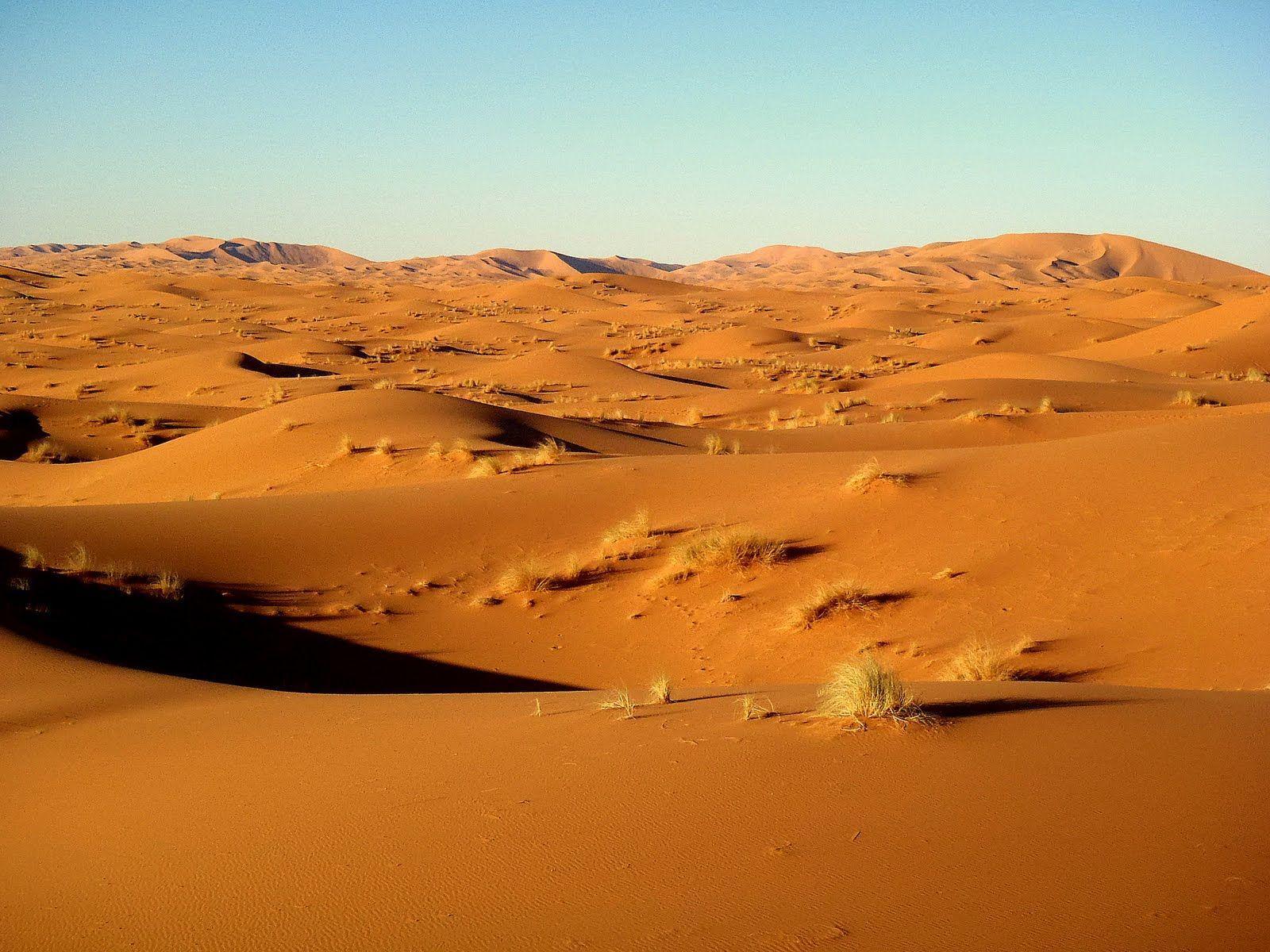 Sahara Desert High Resolution Wallpaper