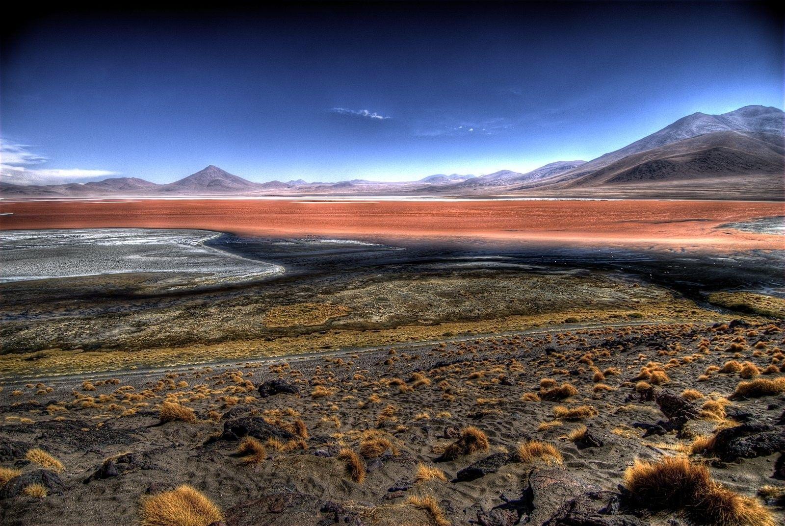 Lakes: Bolivia Laguna Colorada Wallpaper Nature Windows 8 for HD 16