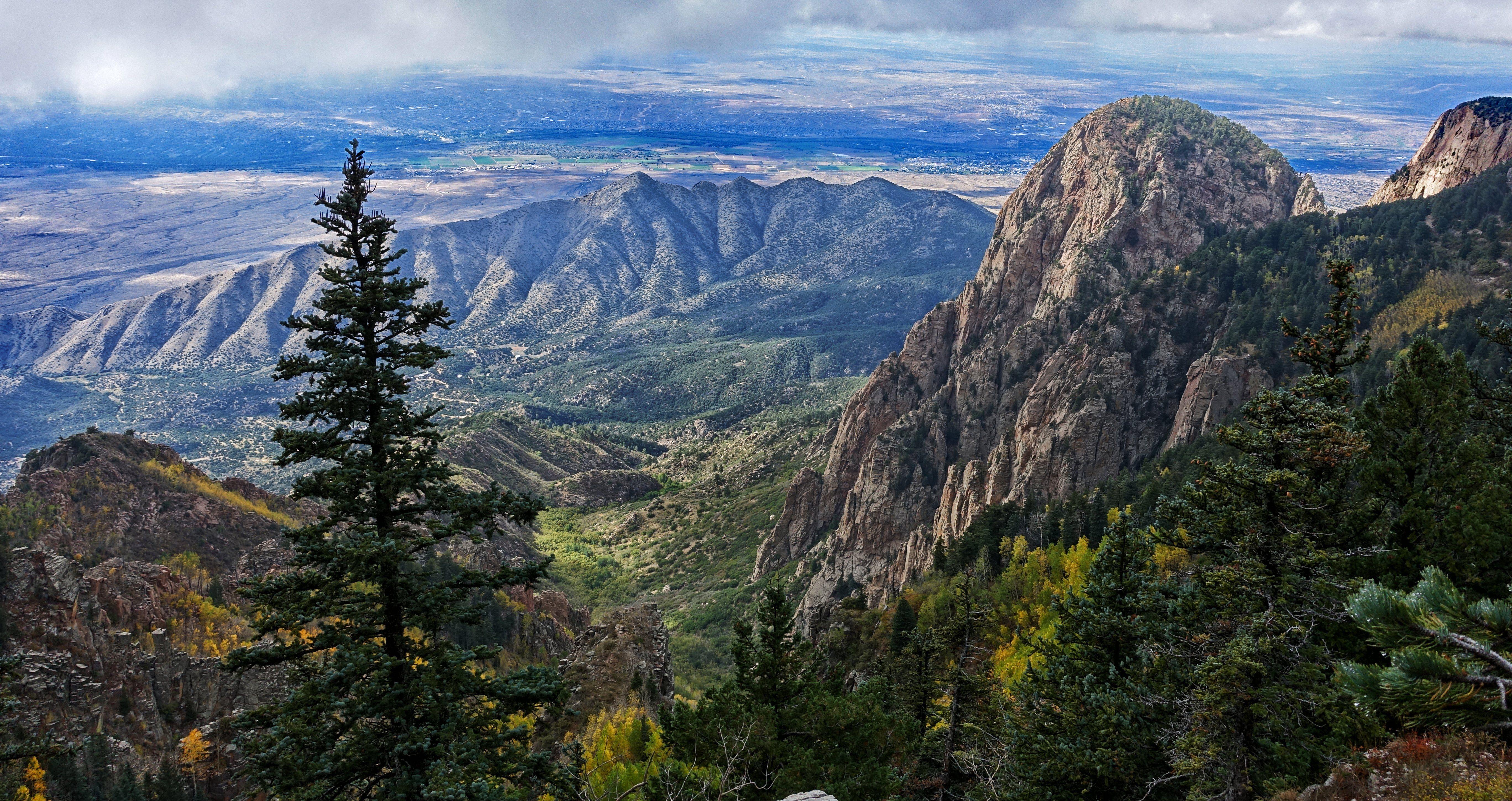 USA Scenery Mountains Fir Bernalillo New Mexico Nature wallpaper