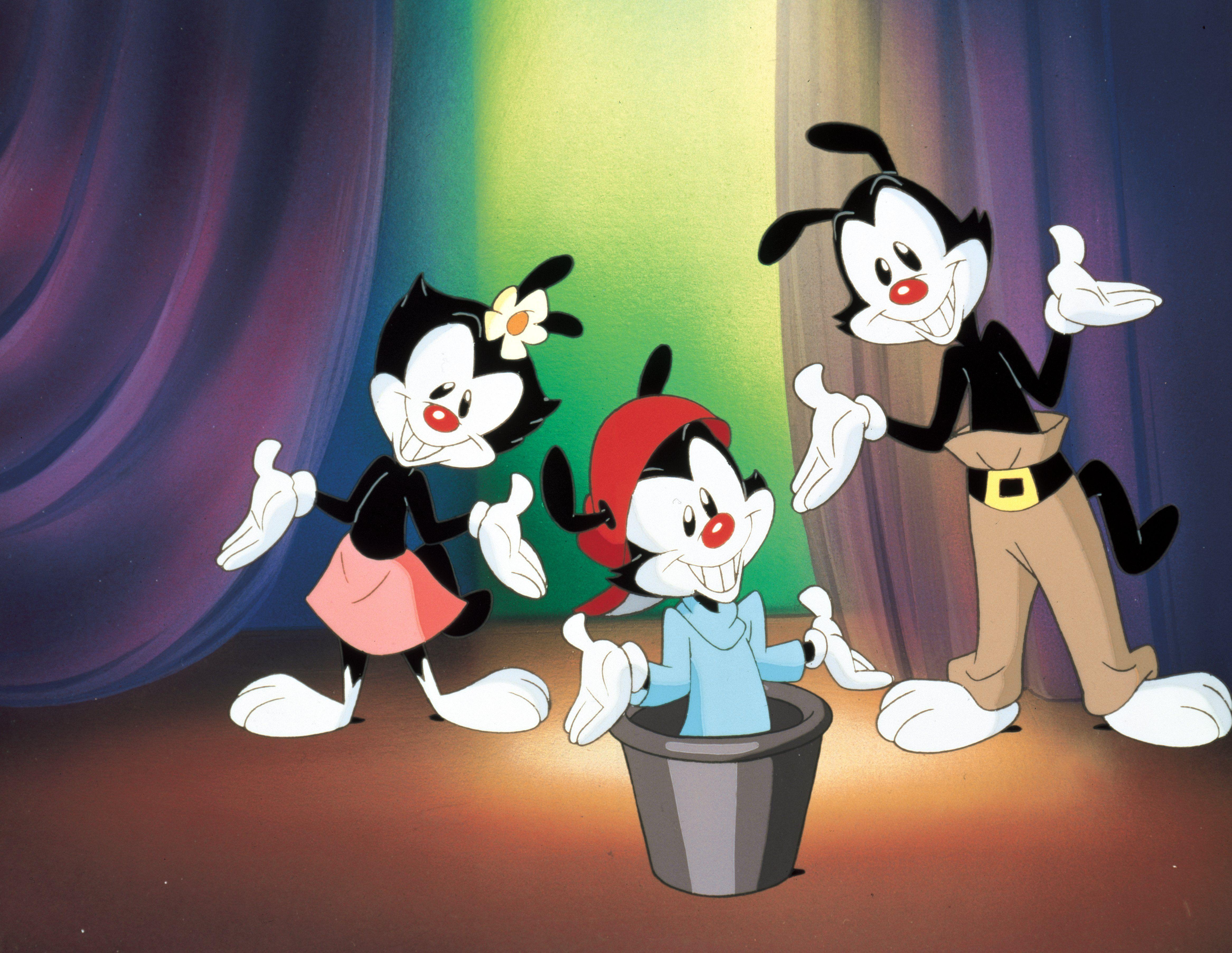 animaniacs wallpaper