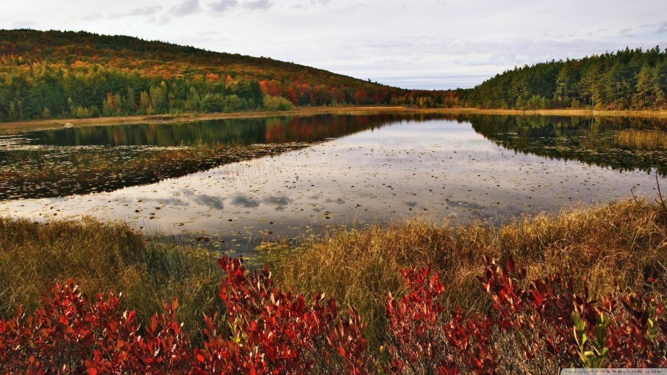 Breakneck Pond, Acadia National Park, Maine HD desktop wallpaper