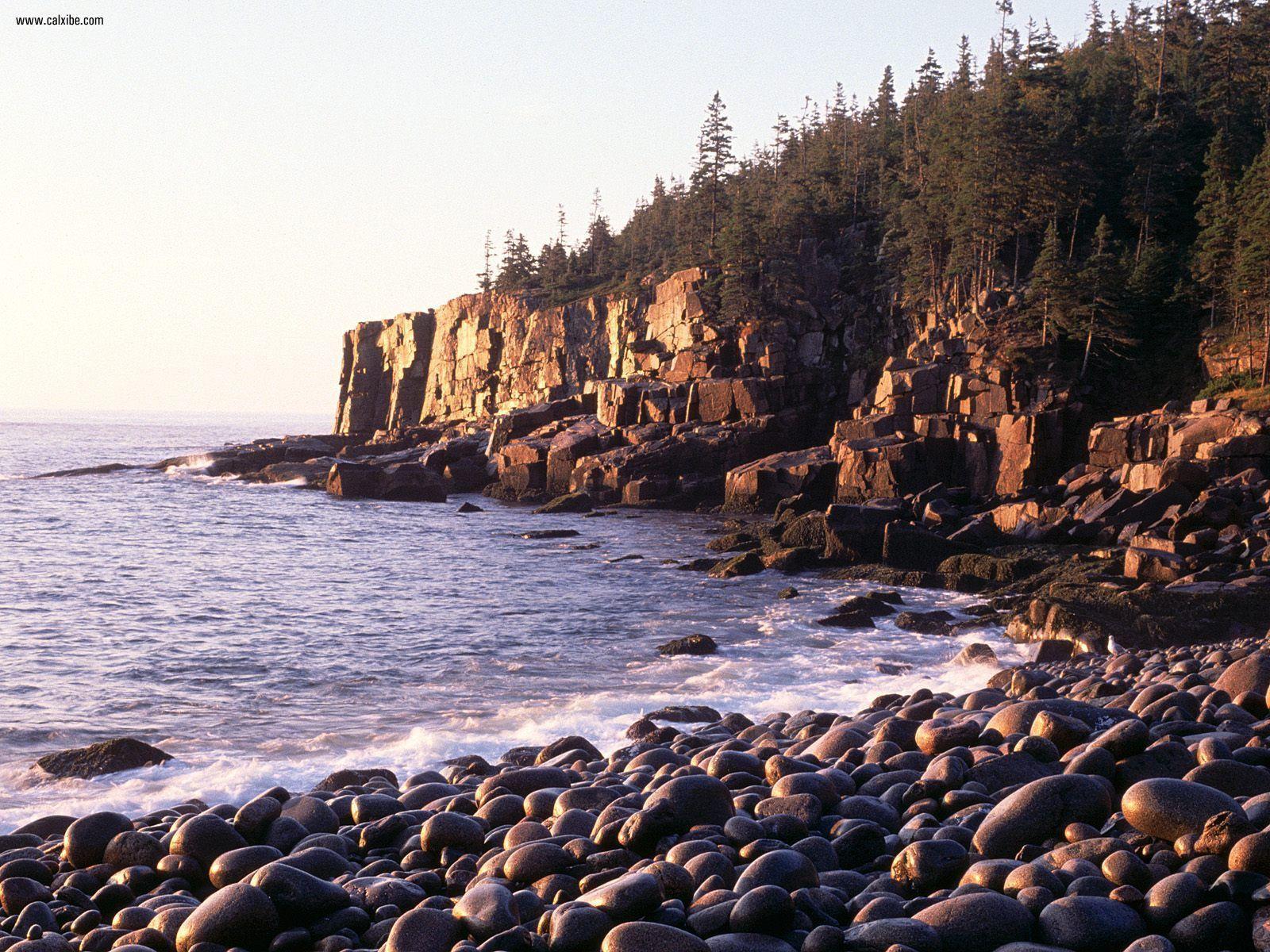 Nature: Sunrise At Otter Cliffs Acadia National Park Maine