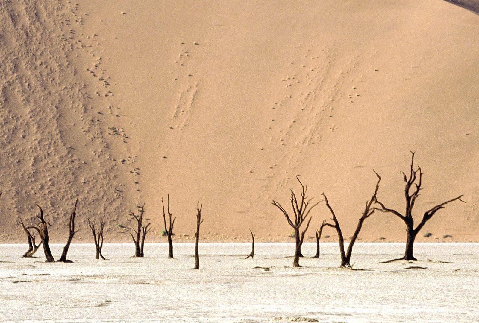 Namib Tag wallpaper: Meeting Namib Coastal Southern Africa Angola