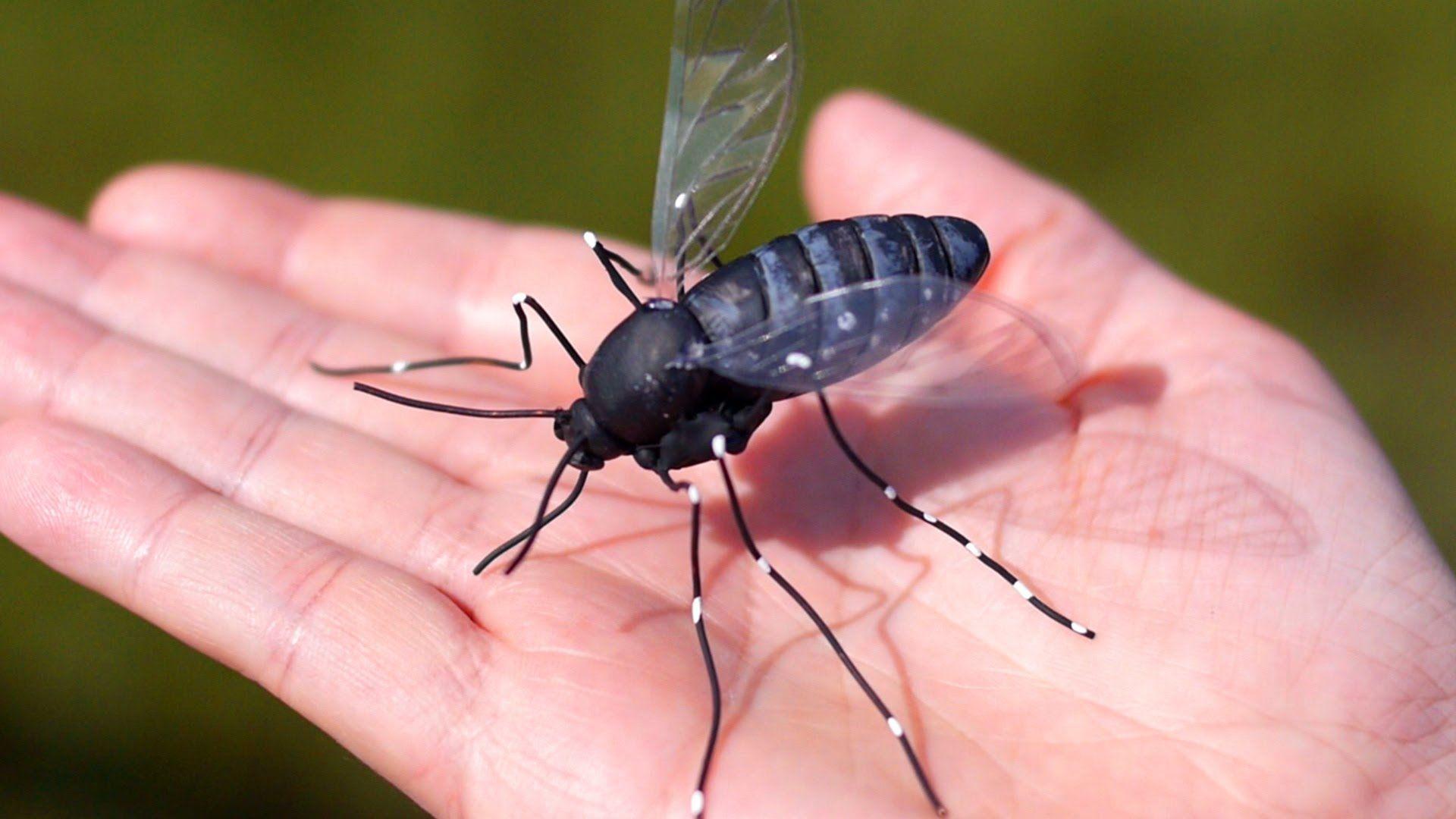 NC DHHS Mosquito Borne Eastern Equine Encephalitis Active This