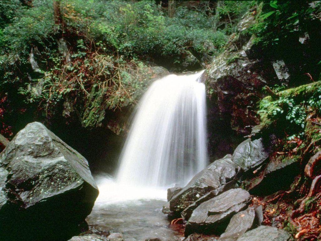 Great Smoky Mountains National Park: 10 tips for your visit