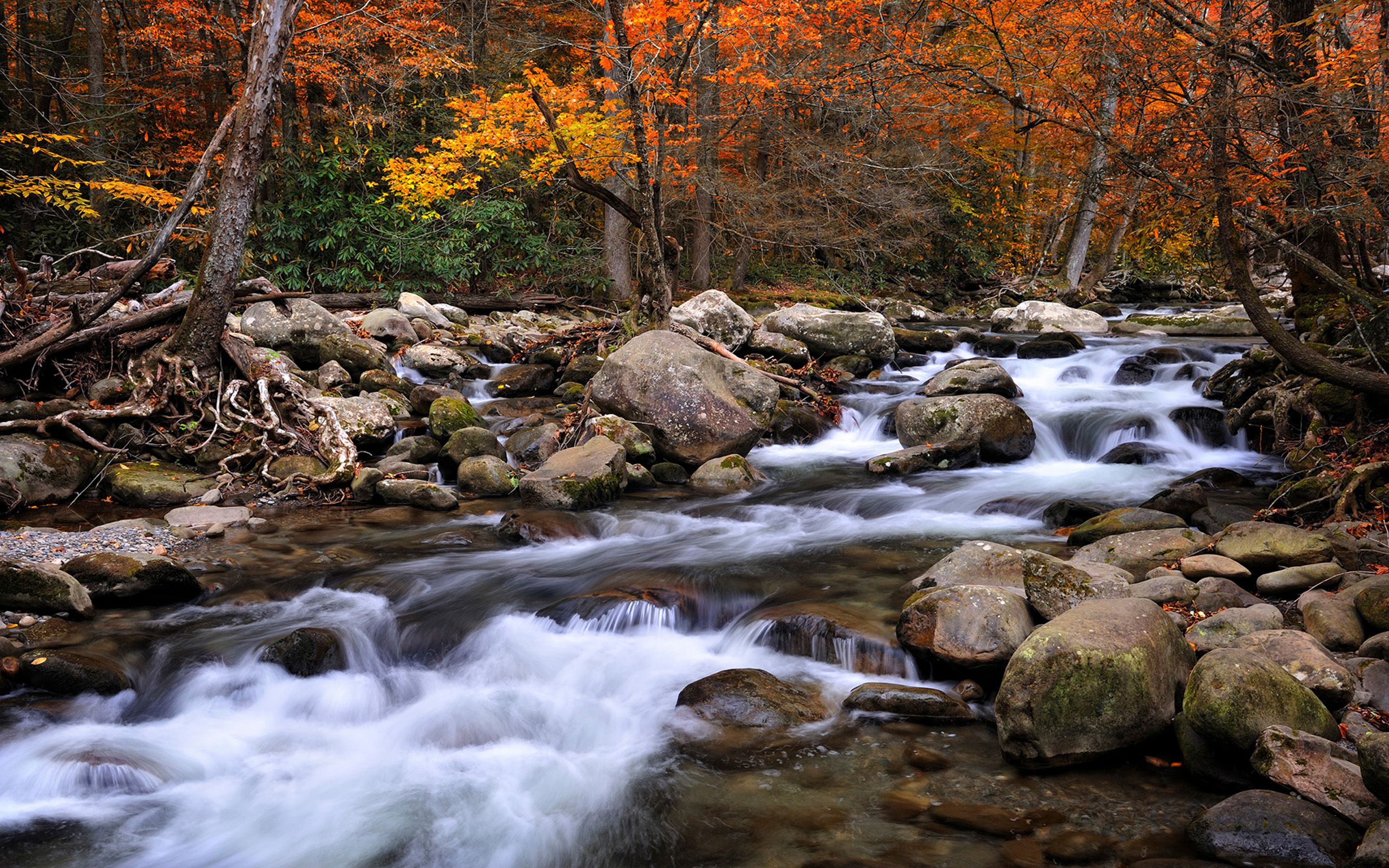 Beautiful National Parks In America Great Smoky Mountains National