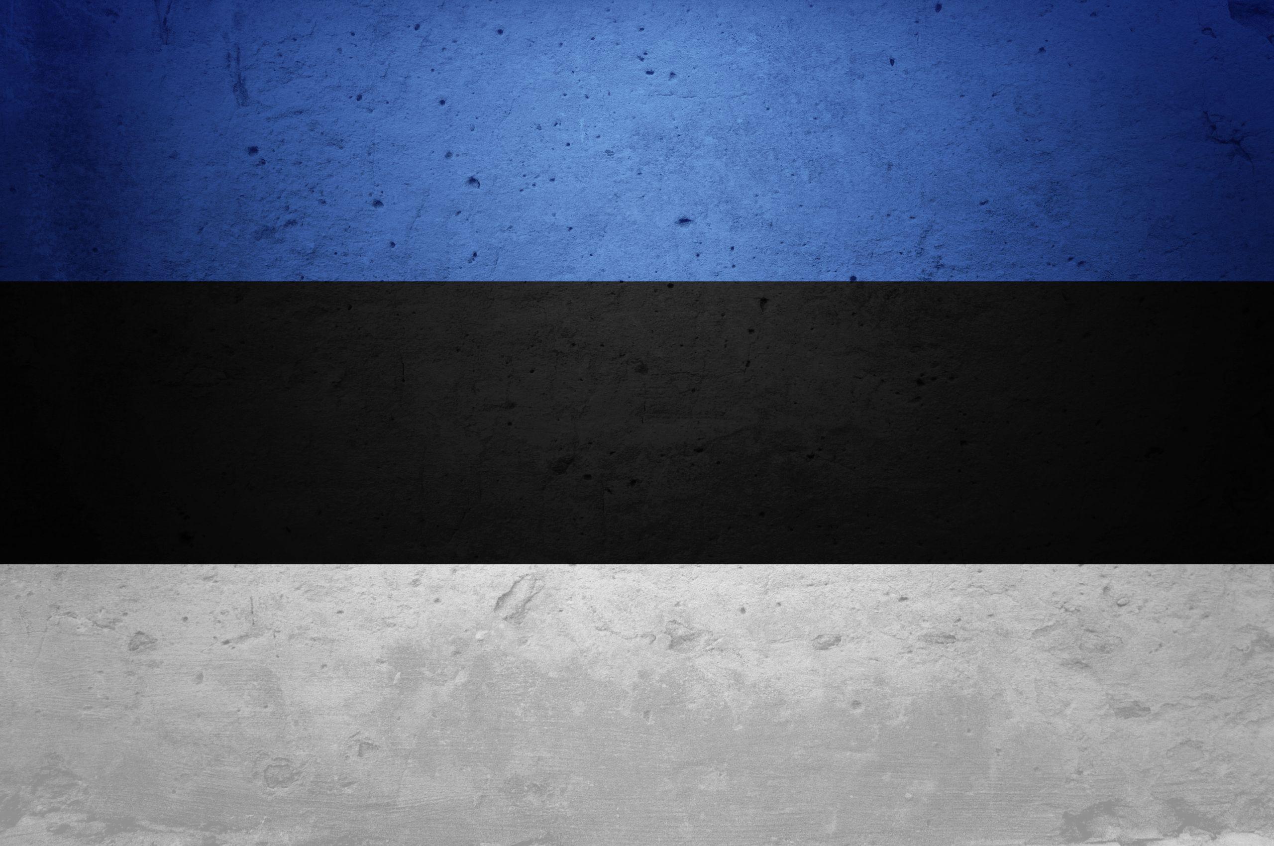 Flag Of Estonia HD Wallpaper