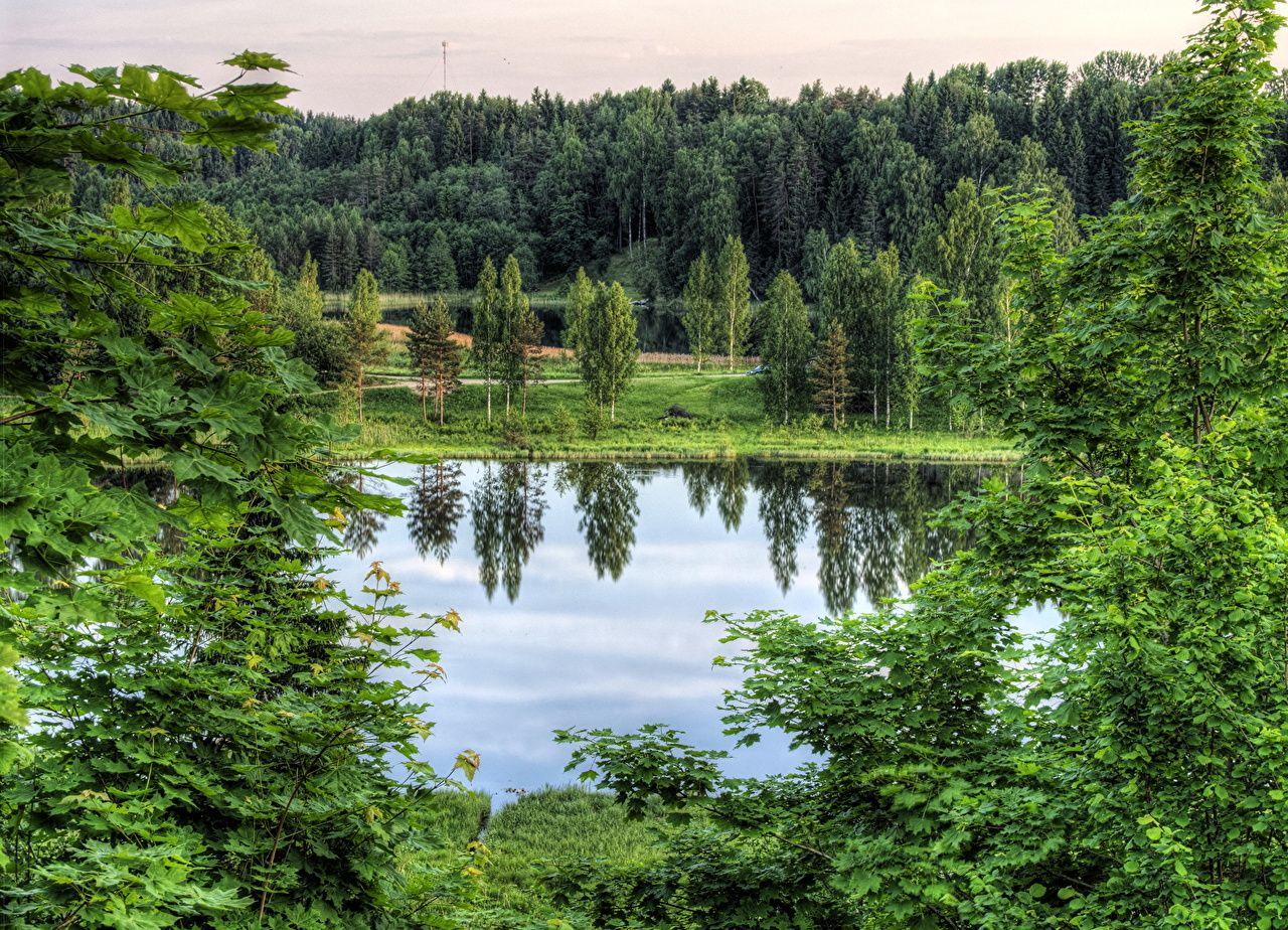 Wallpaper Estonia Rouger HDRI Nature Lake Forests