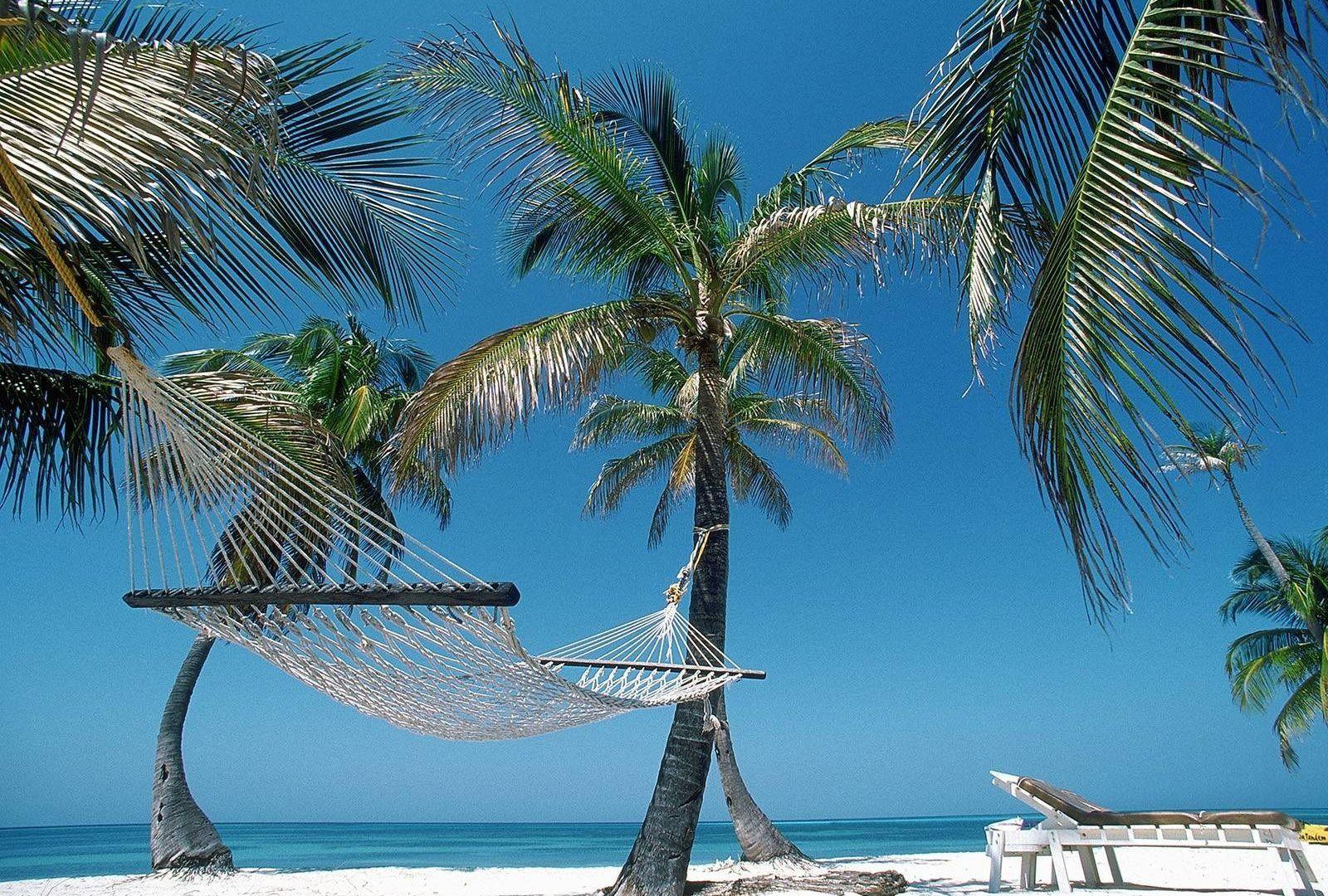 Haiti Tag wallpaper: Hiati Haiti Palm Beach Hammock Relaxing Tree