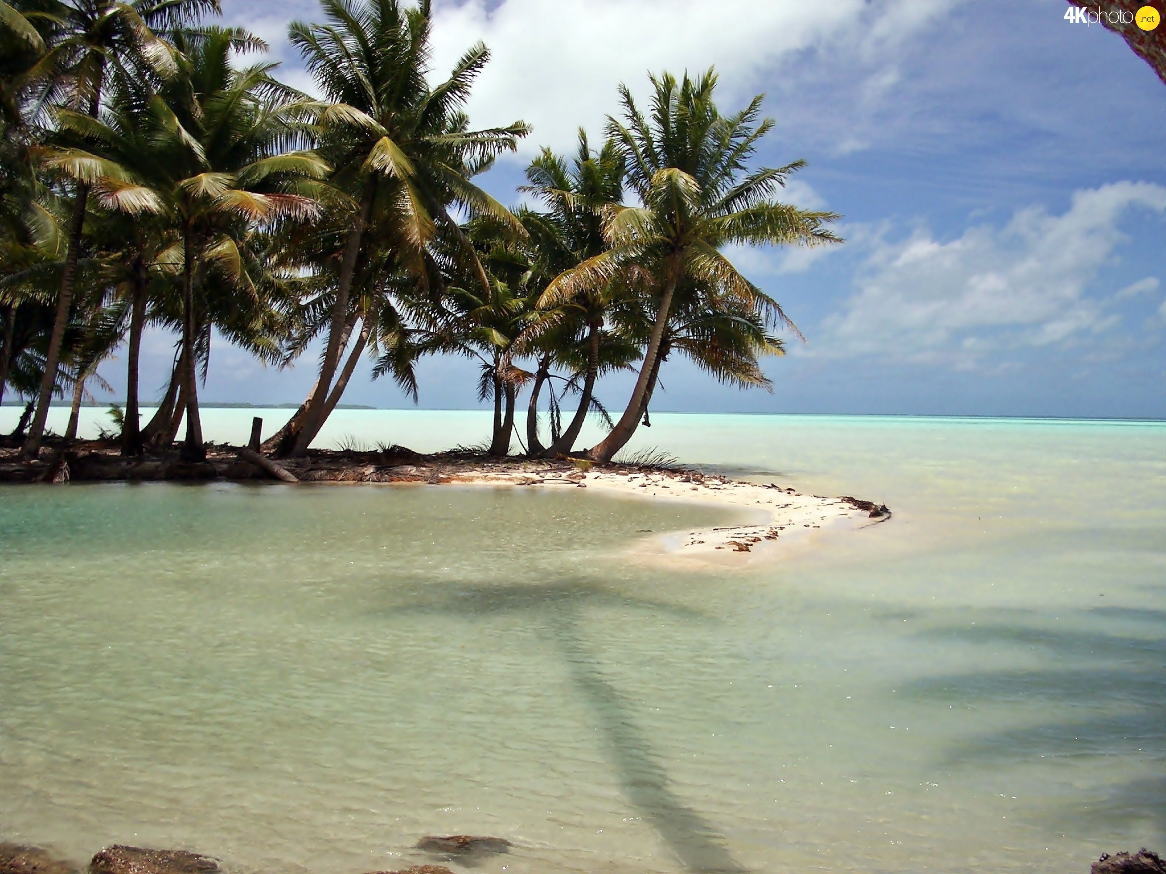 Laguna, Kiribati, sea, Palms jigsaw wallpaper: 3840x2880