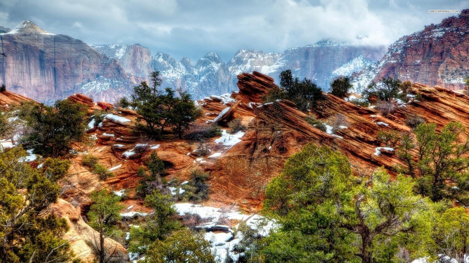 Zion National Park In The Winter