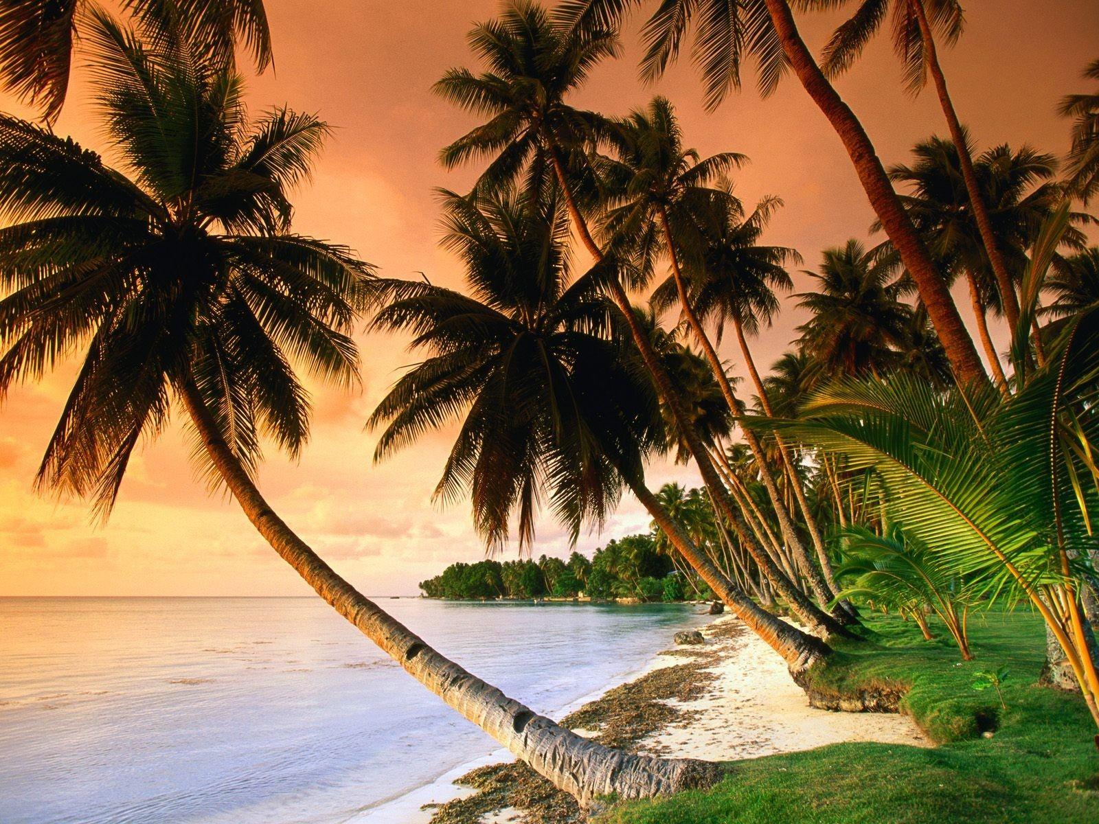 Beach: BLUE LAGOON RESORT BEACH Nature Beaches Micronesia
