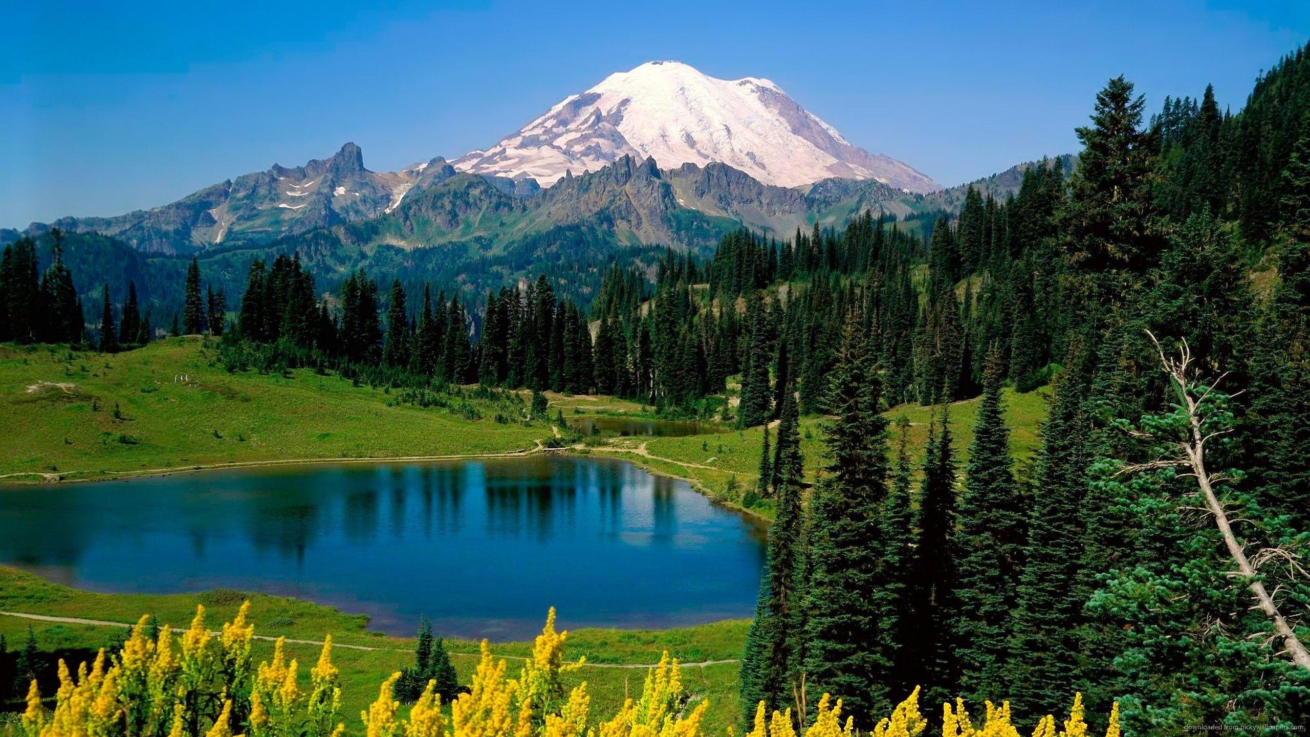 Download 2560x1440 Mount Rainier National Park Wallpaper