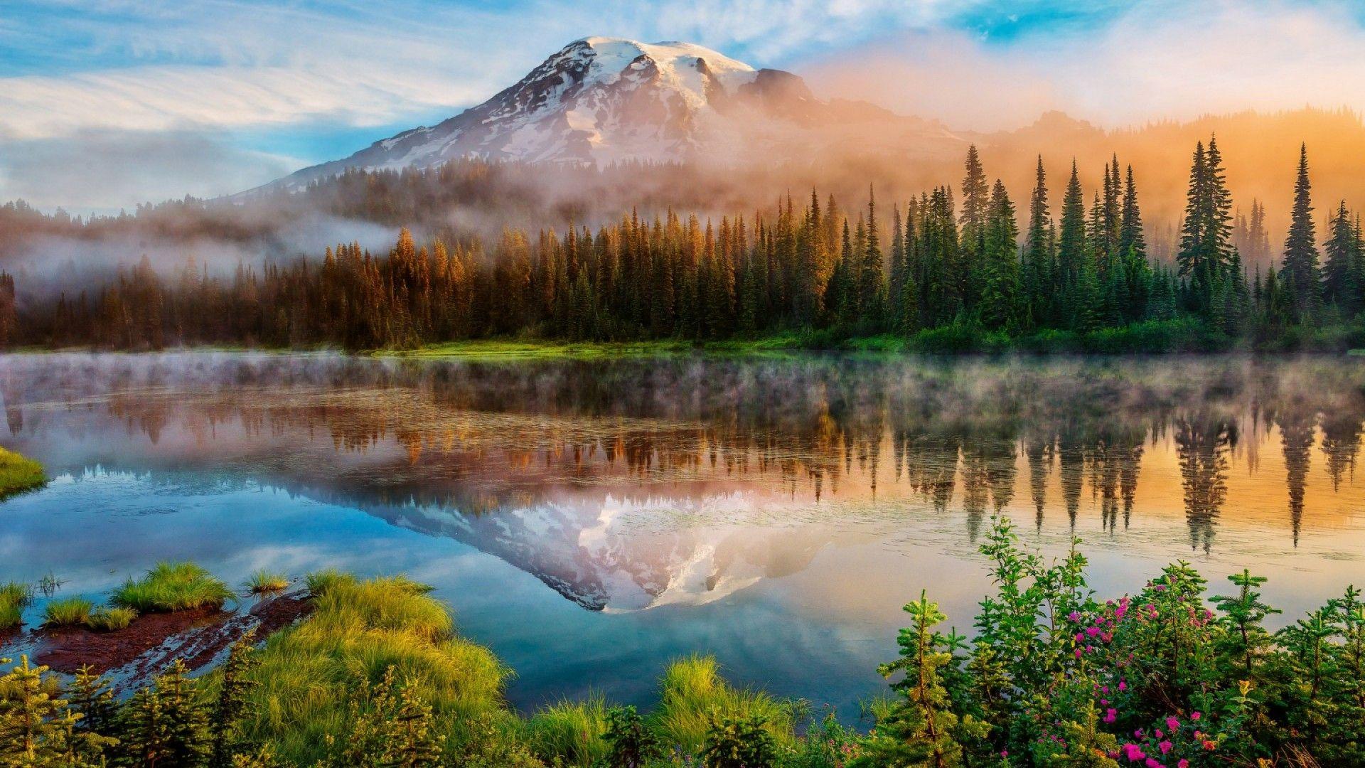 Mount Rainier National Park Trails Desktop Wallpaper HD Widescreen