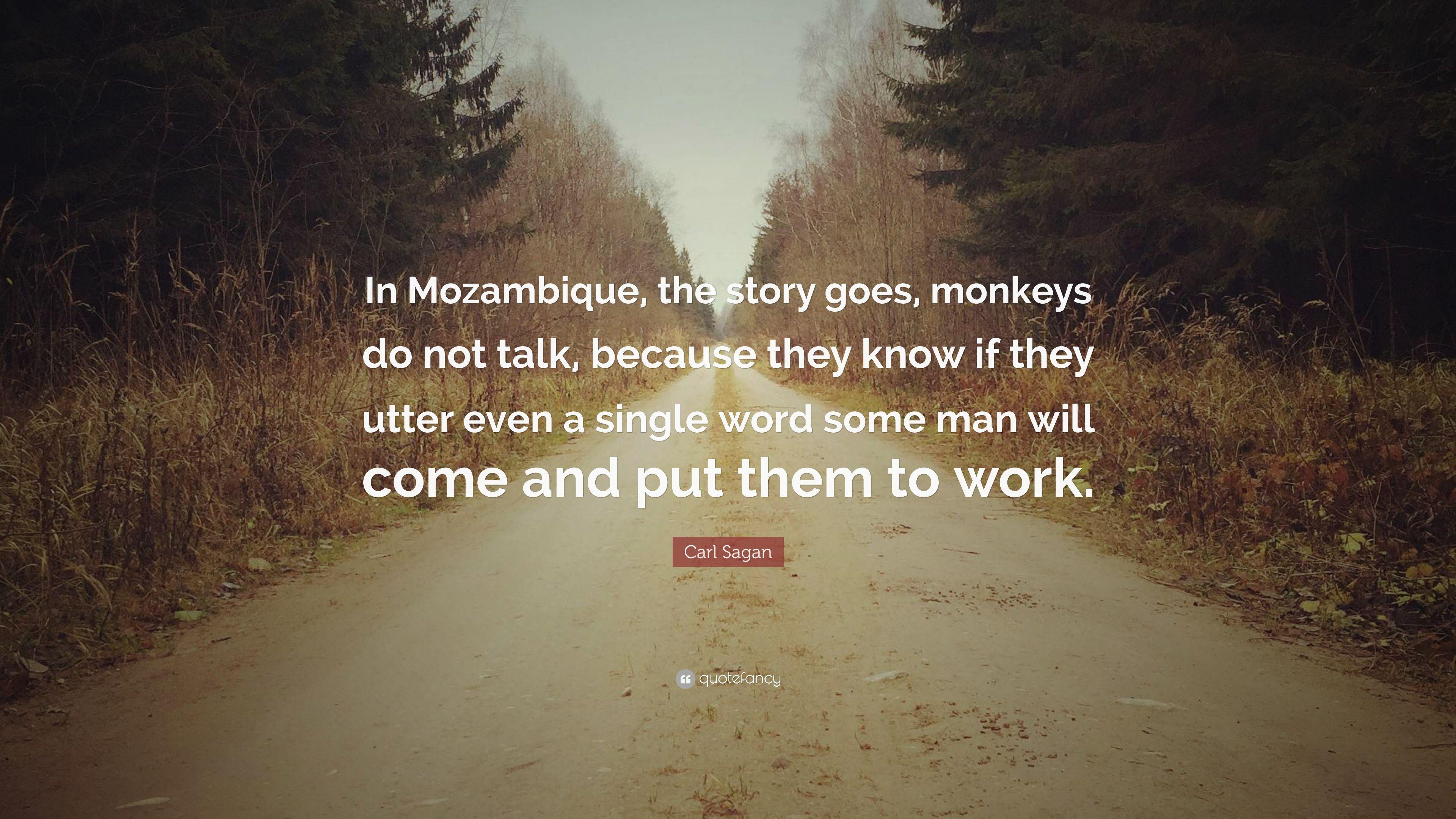 Carl Sagan Quote: “In Mozambique, the story goes, monkeys do not