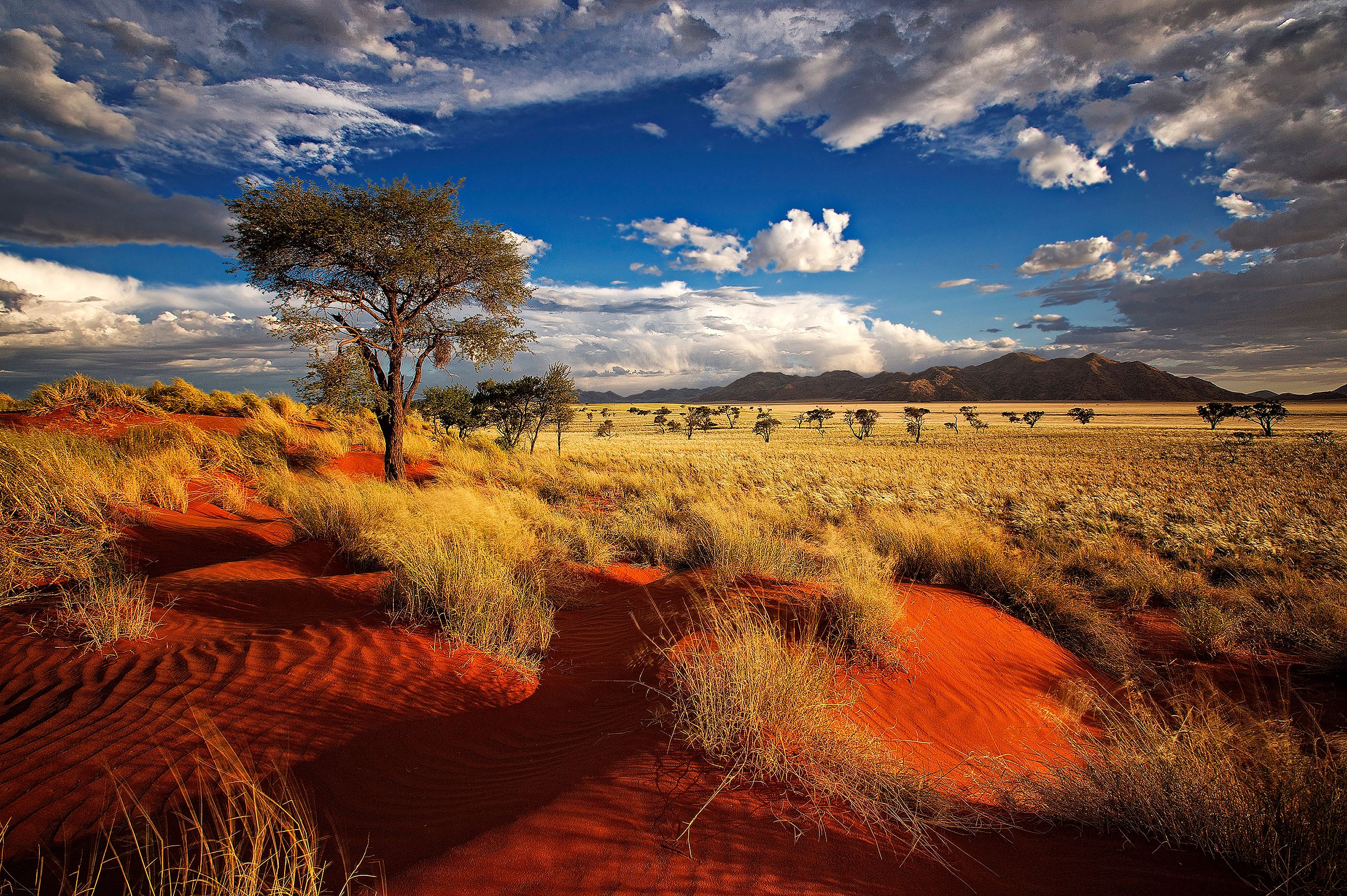 3000x1996px Widescreen wallpaper of Namibia 9