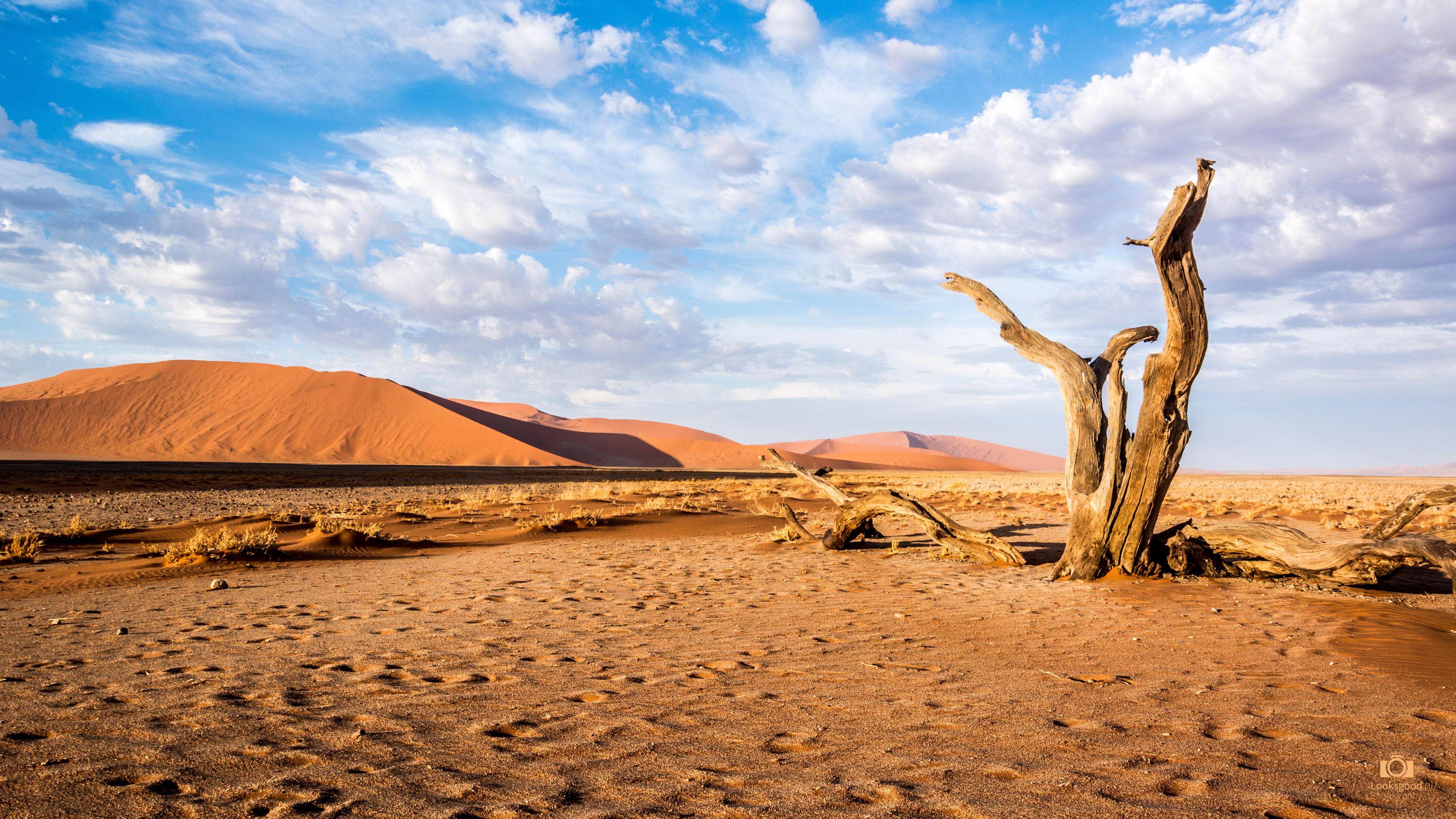 Sossusvlei Namibia Desert 4K Wallpaper / Desktop Background