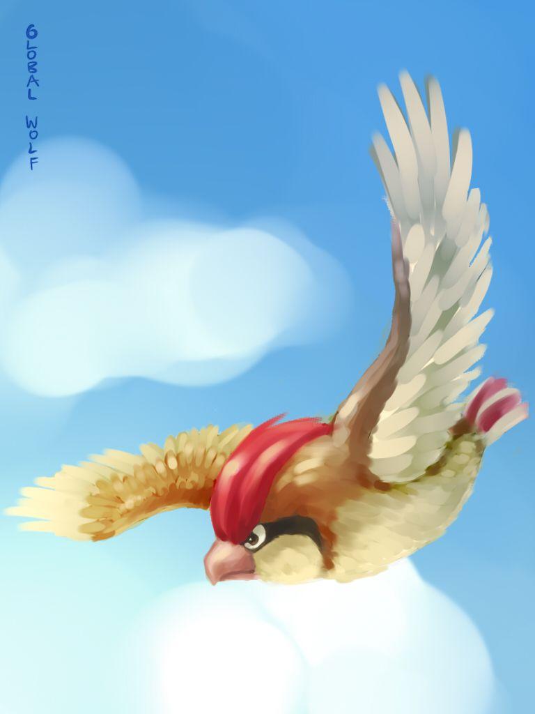 Pidgeotto By Global Wolf