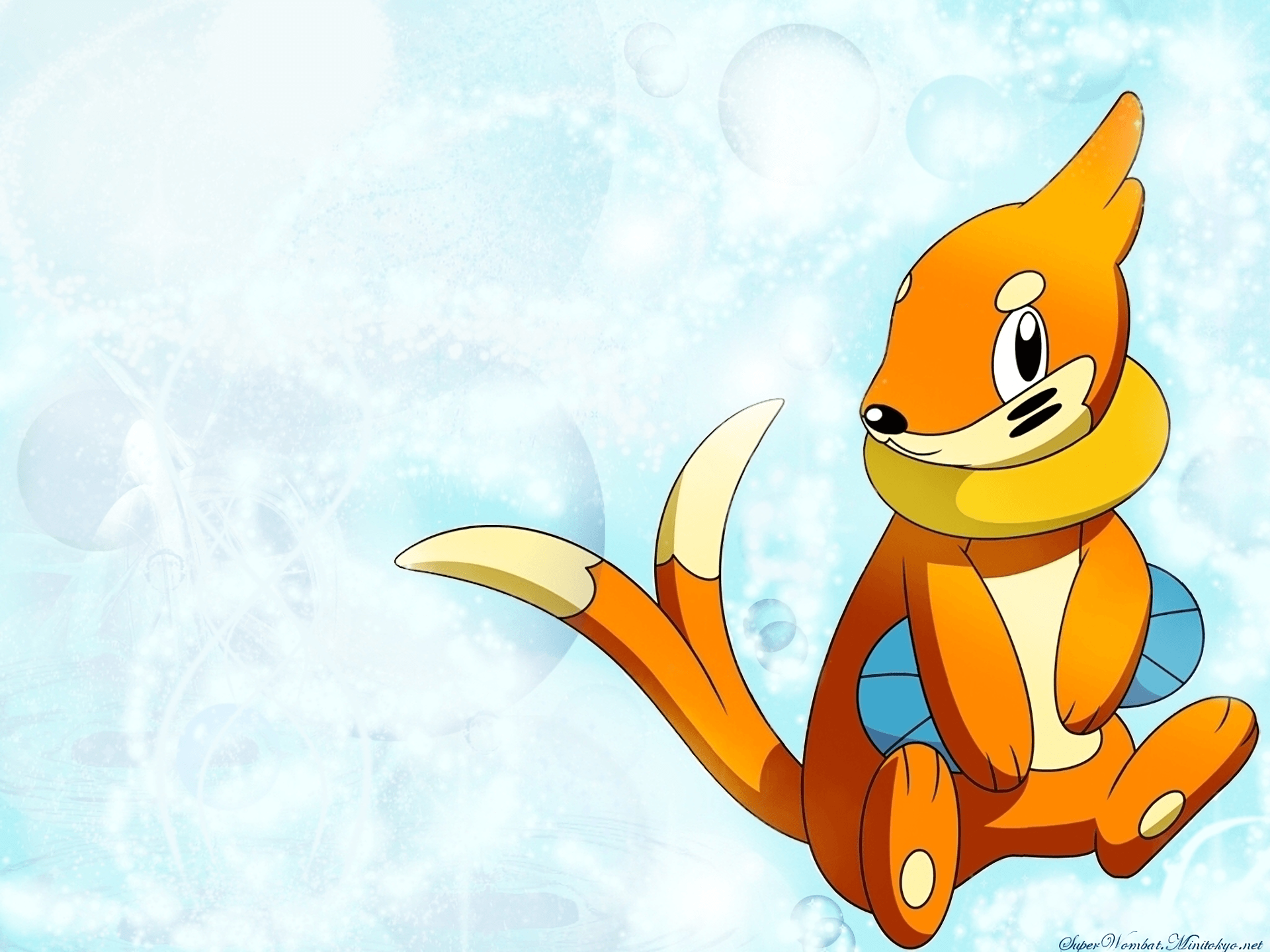 Buizel (Pokemon) HD Wallpaper and Background Image
