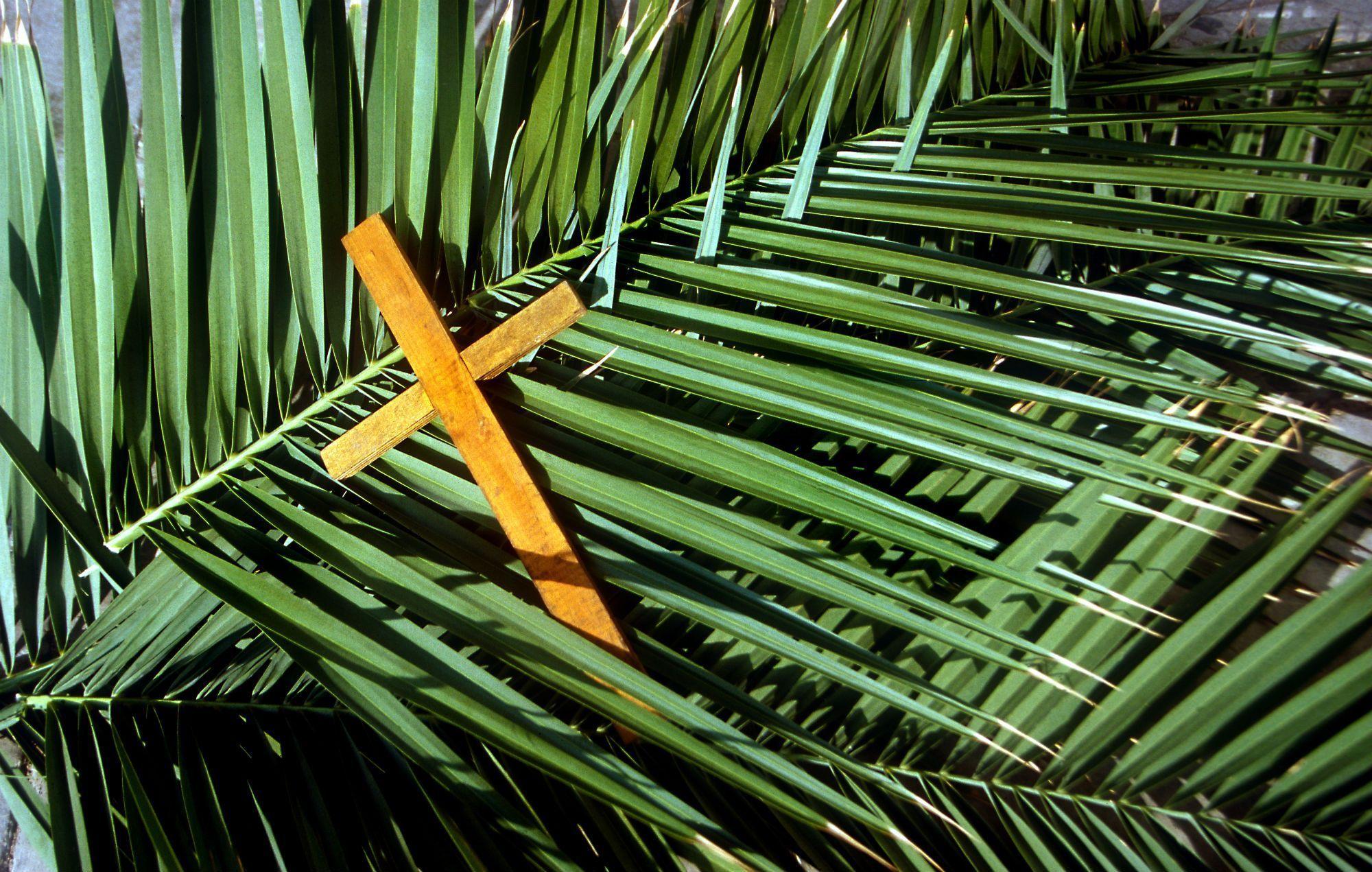 Palm Sunday Quotes from Bible, Wishes, Picture and Image