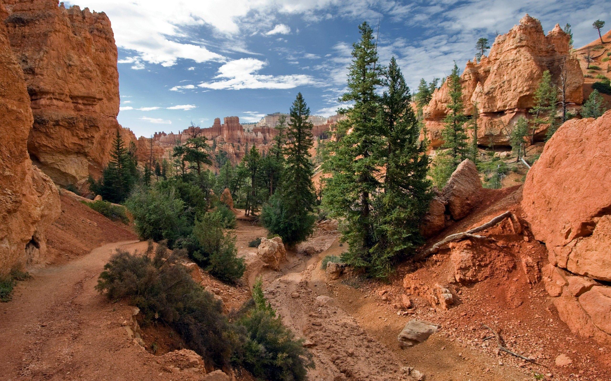 Canyon: Bryce Canyon National Park Clouds Sky Nature Trees Grand