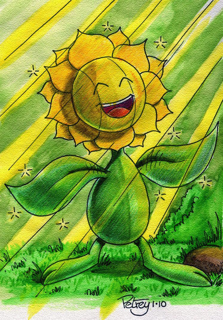 Let the sun shine in Sunflora