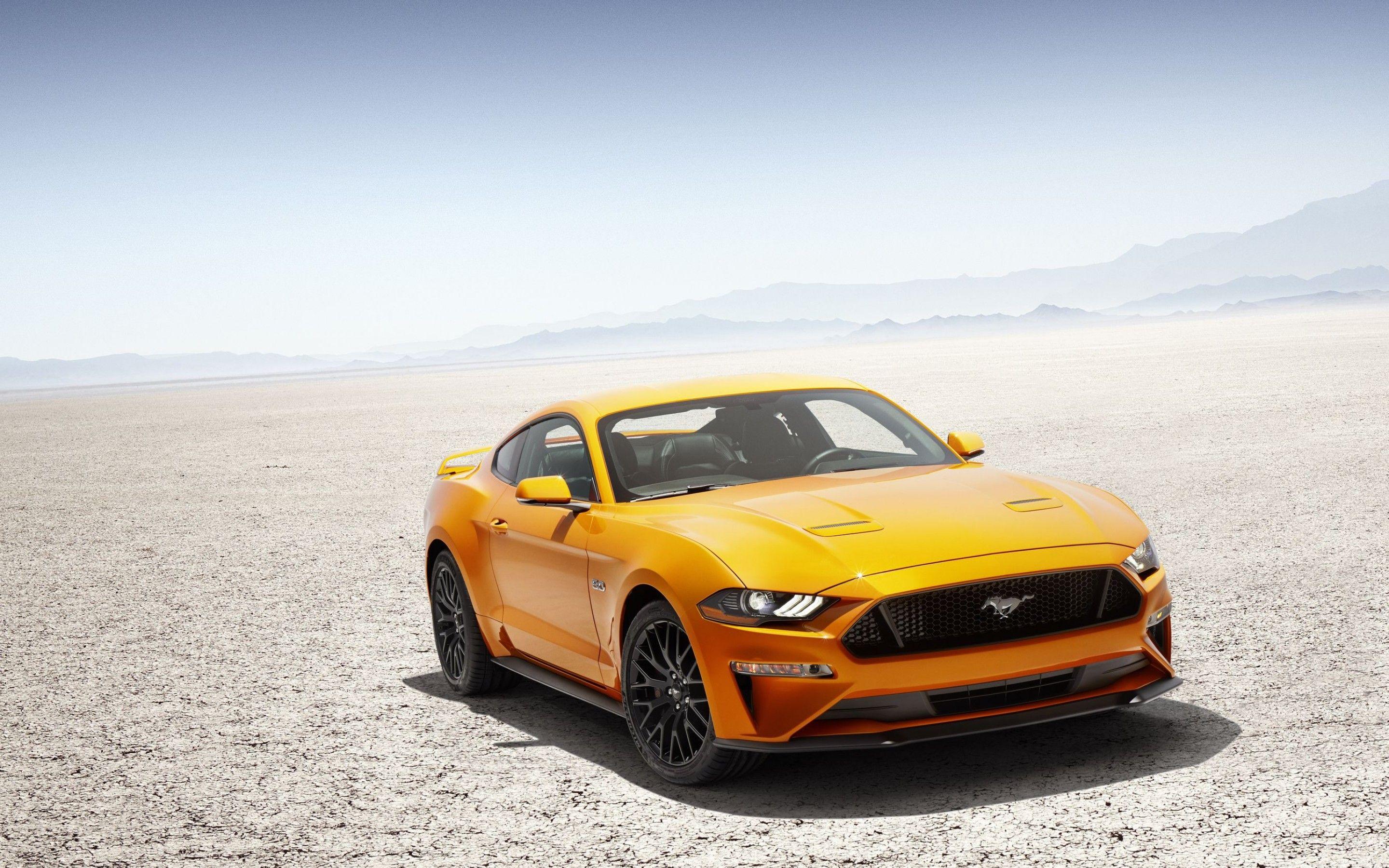 Wallpaper Ford Mustang, HD, Automotive / Cars