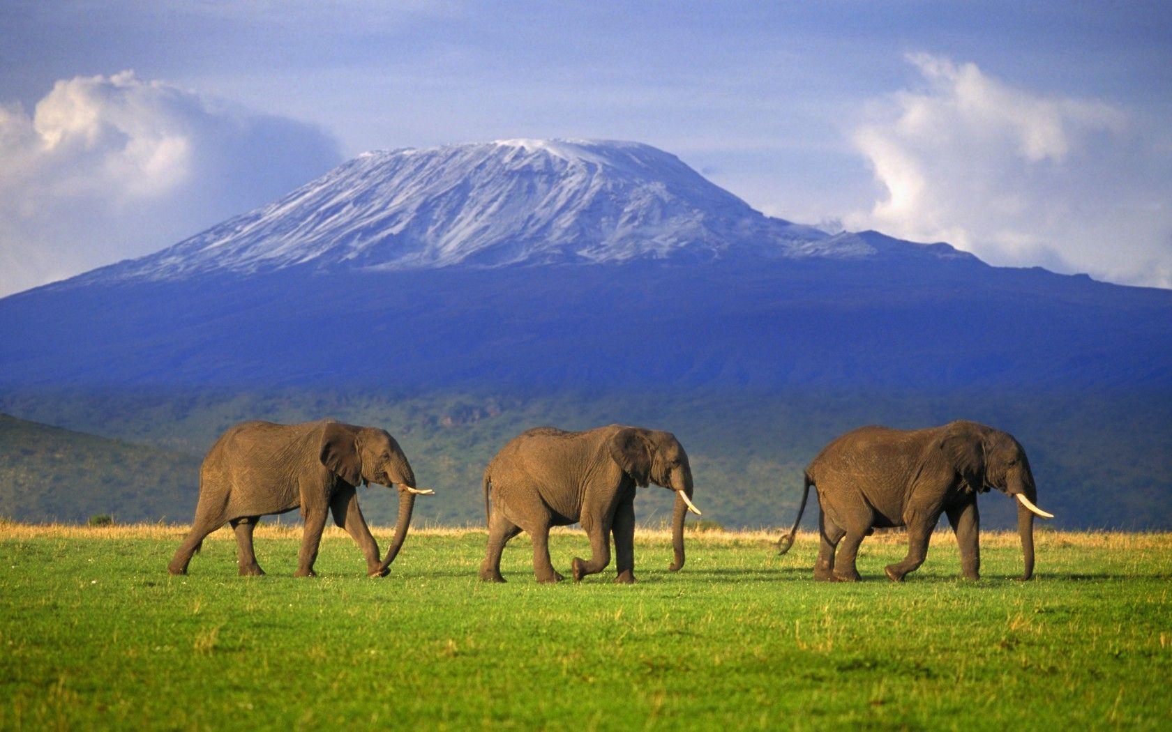 MOUNT KILIMANJARO: my daughter's goal is to climb this some day