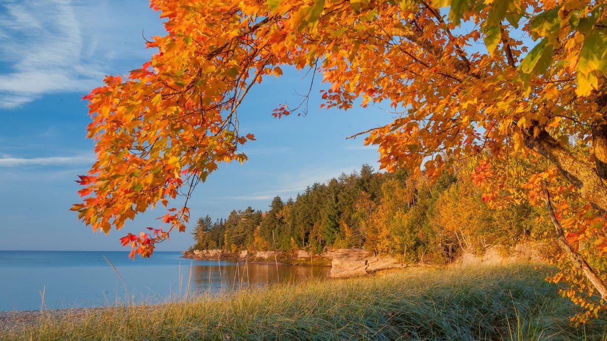 Autumn lake trees landscape Michigan wallpaperx1069