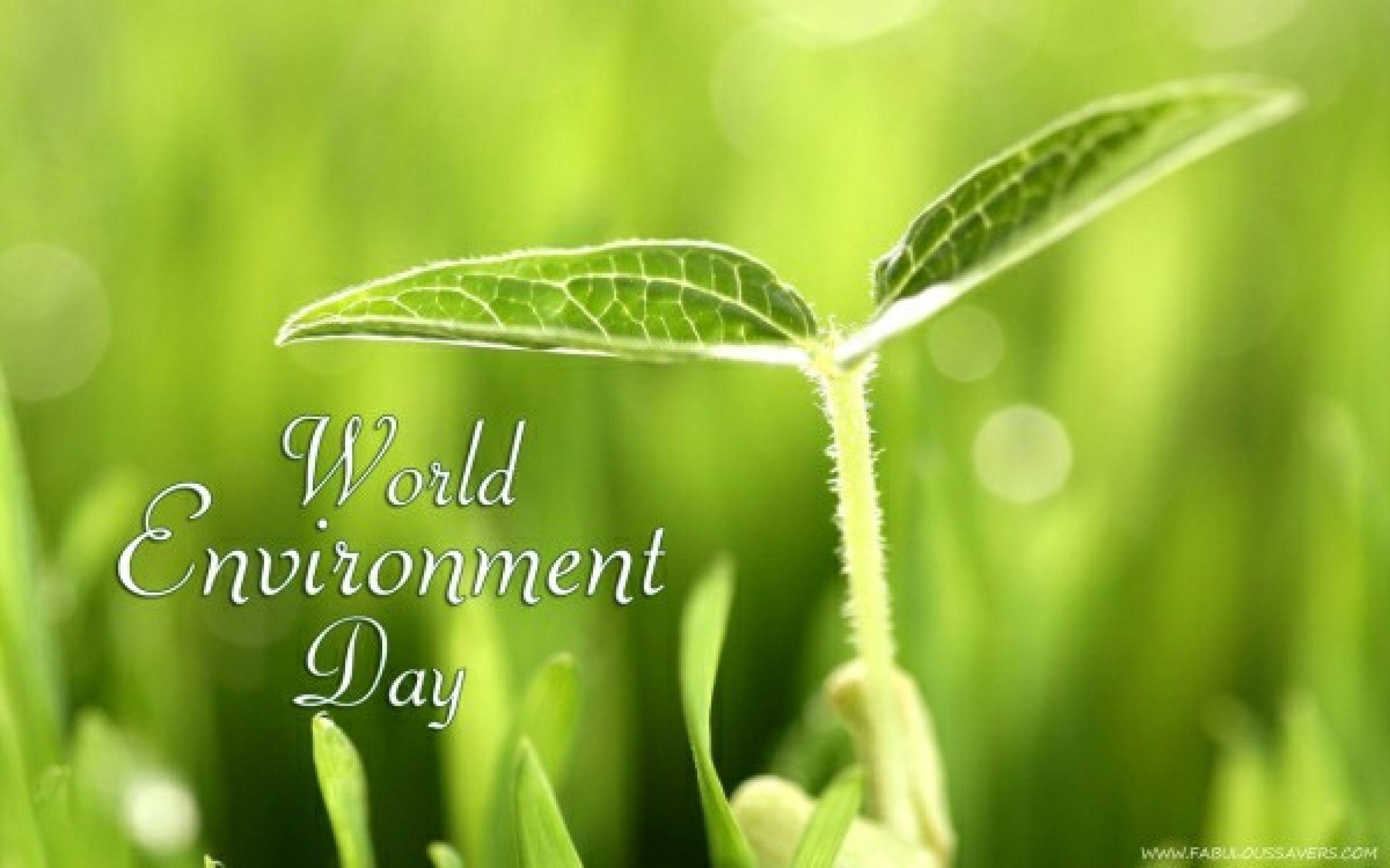 World Environment Day Free Computer Desktop Wallpaper
