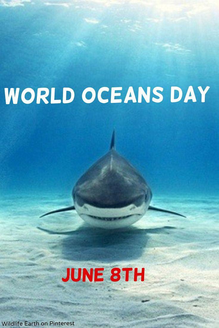 best World Oceans Day image. World oceans, Ocean