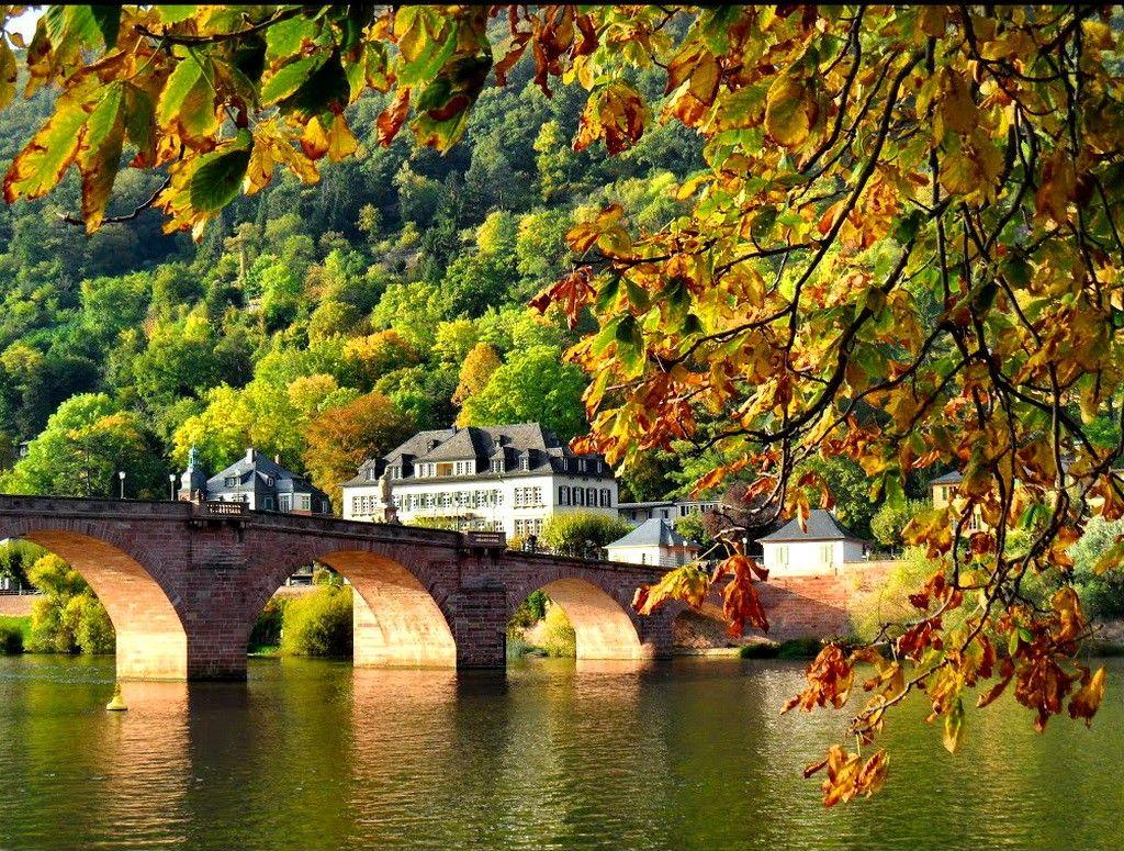 Heidelberg Tag wallpaper: Old Bridge Place Foliage Shore Lake