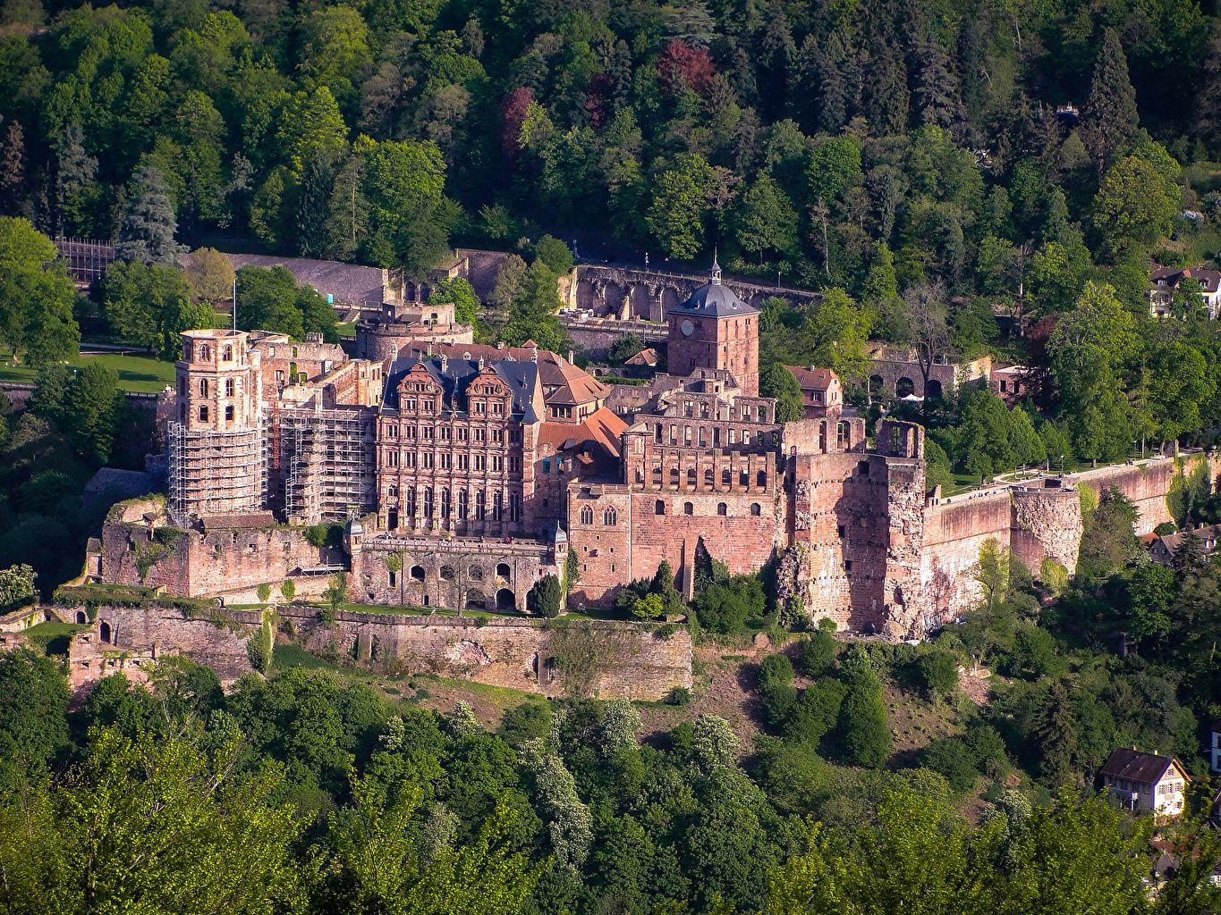 Wallpaper Germany Heidelberg Castle Castles Trees Cities