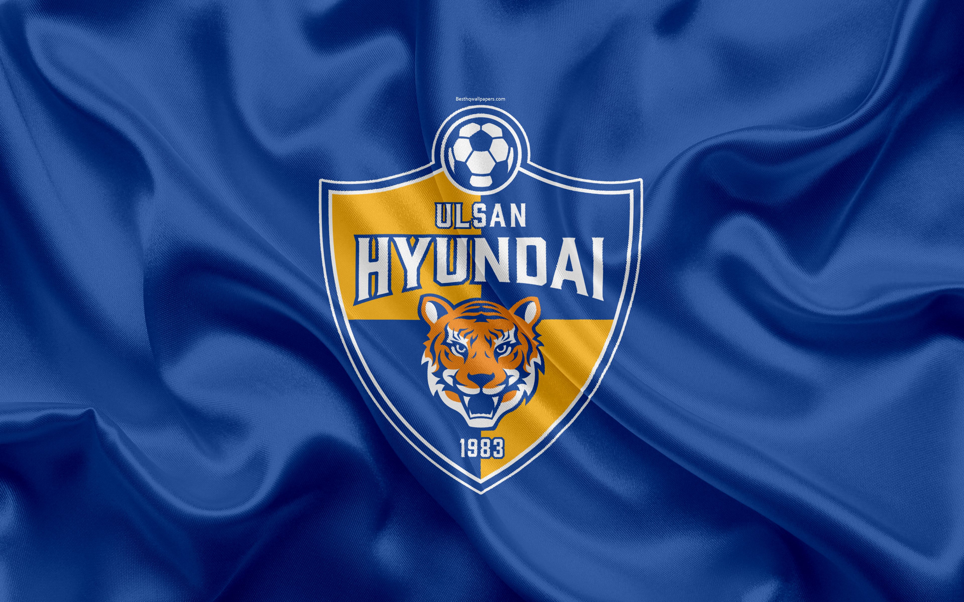 Download wallpaper Ulsan Hyundai FC, silk flag, 4k, logo, emblem