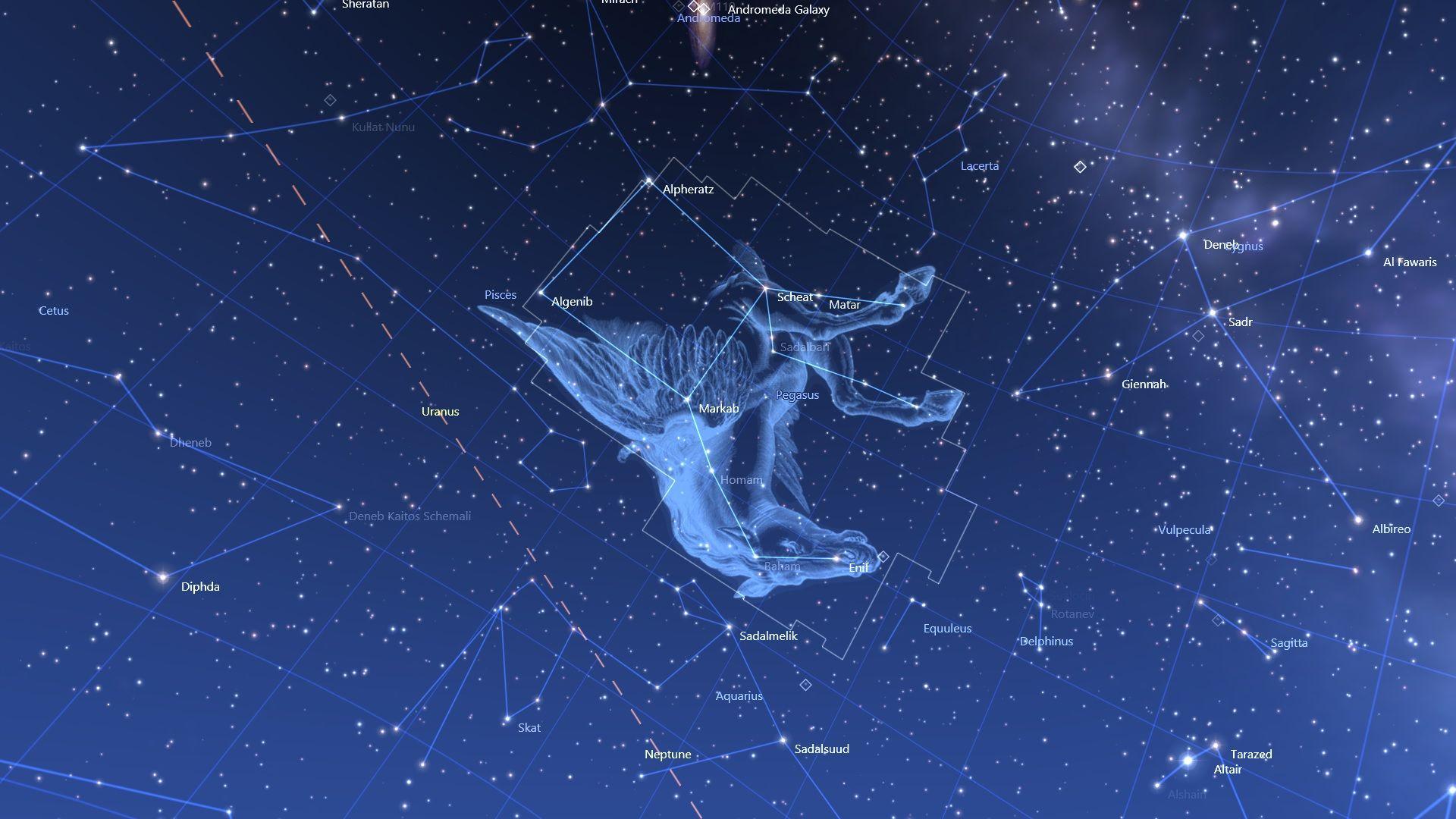 SC 9 Constellation Project Hattie ZHANG [Infographic]