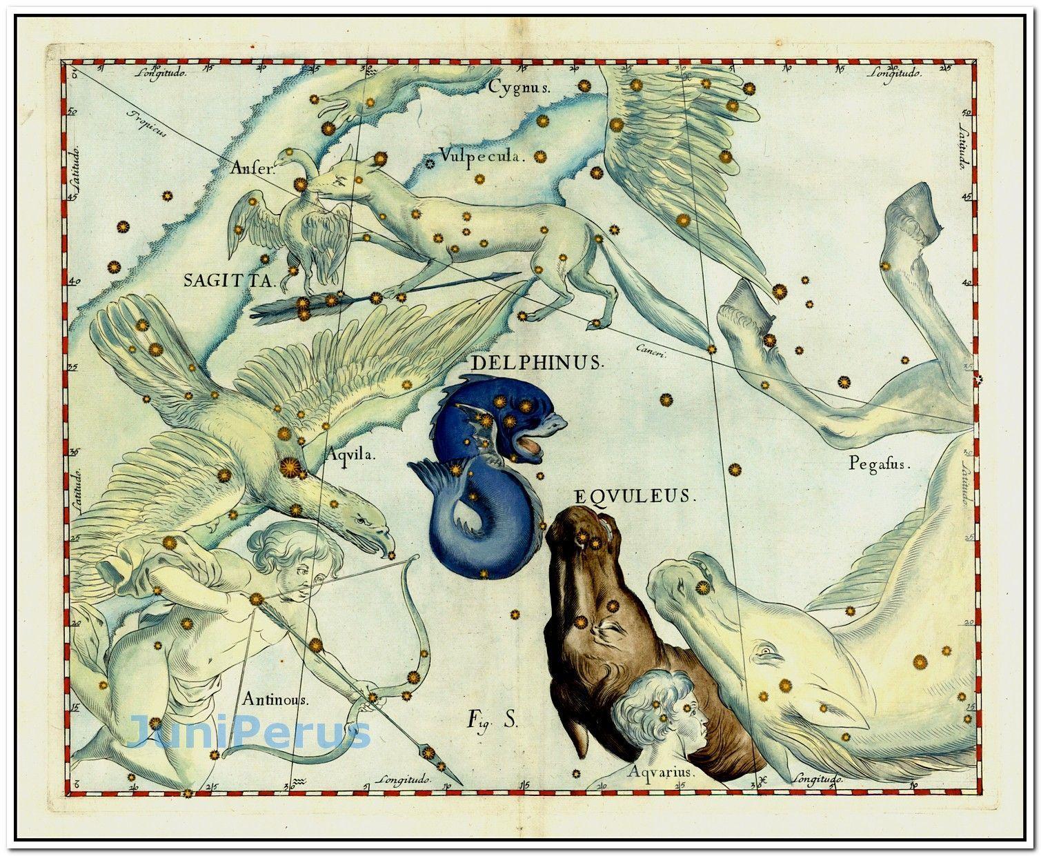 Delphinus and Equuleus (Stars heightened in gold) Map Maker