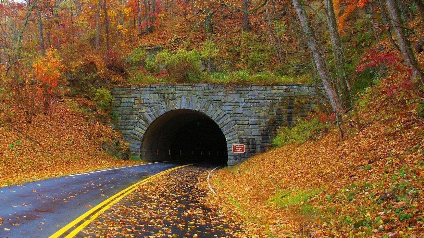 Other: Tunnel Blue Ridge Mountains Autumn Colorful Falling Leaves