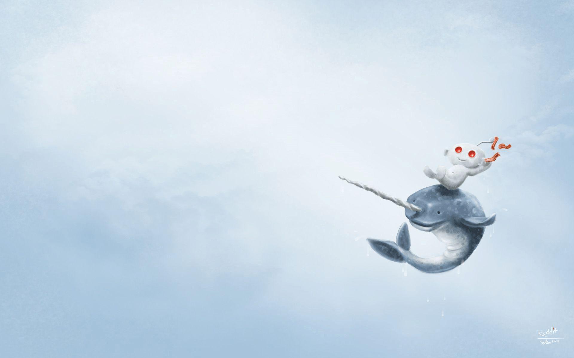 Narwhal Wallpaper