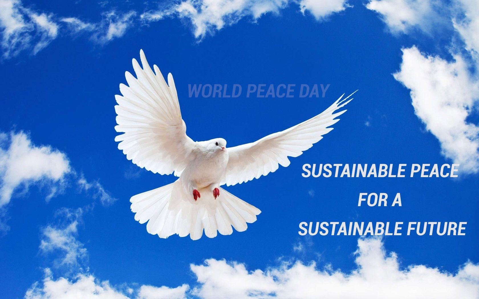 International Day of Peace Wallpaper 10 X 1050
