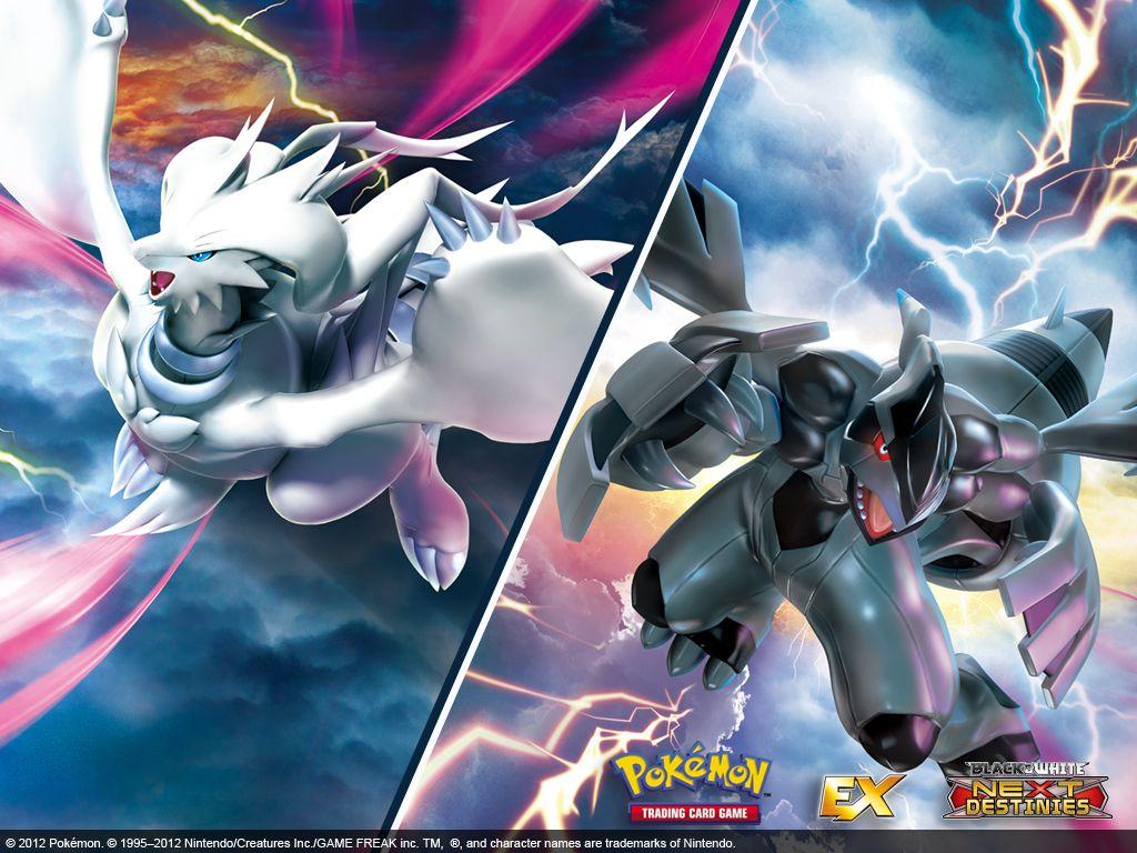 1024x768px Pokemon Black And White Wallpaper