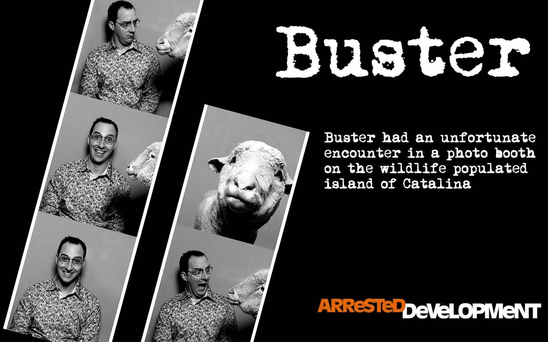 Arrested Development image Buster Island HD wallpaper