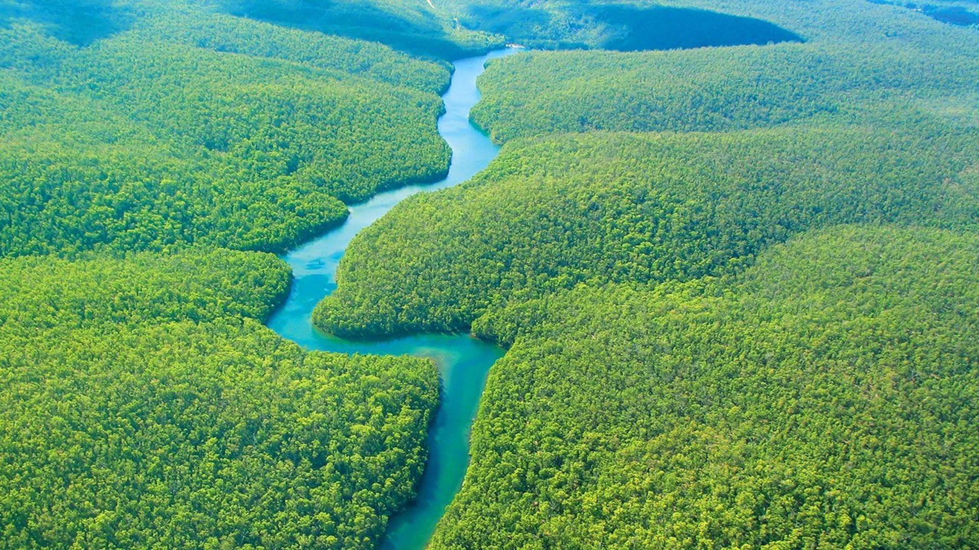 Inspiring Amazon River Wallpaper