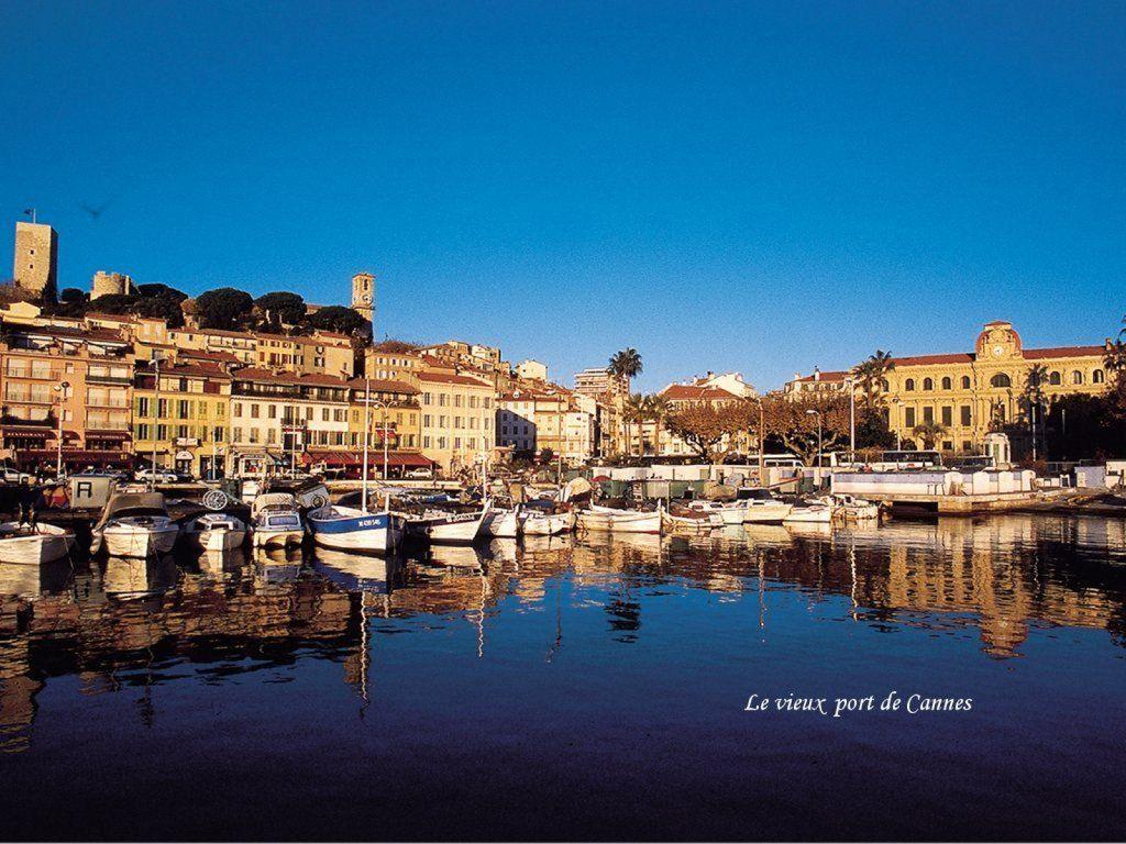 Cannes by Night 1024x768 Wallpaper, Cannes 1024x768 Wallpaper