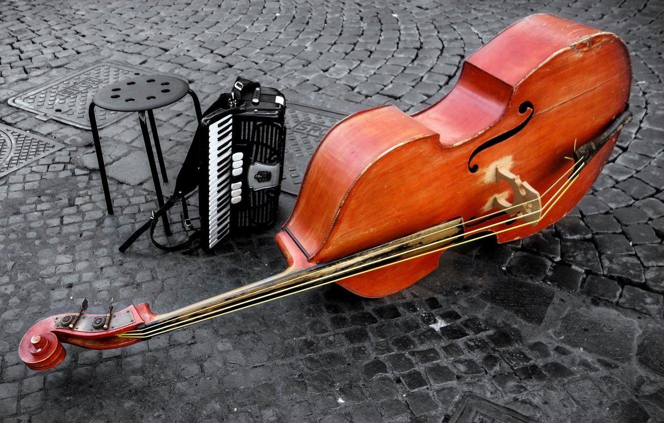 Wallpaper violin, double bass, instrumentos, rope image for desktop